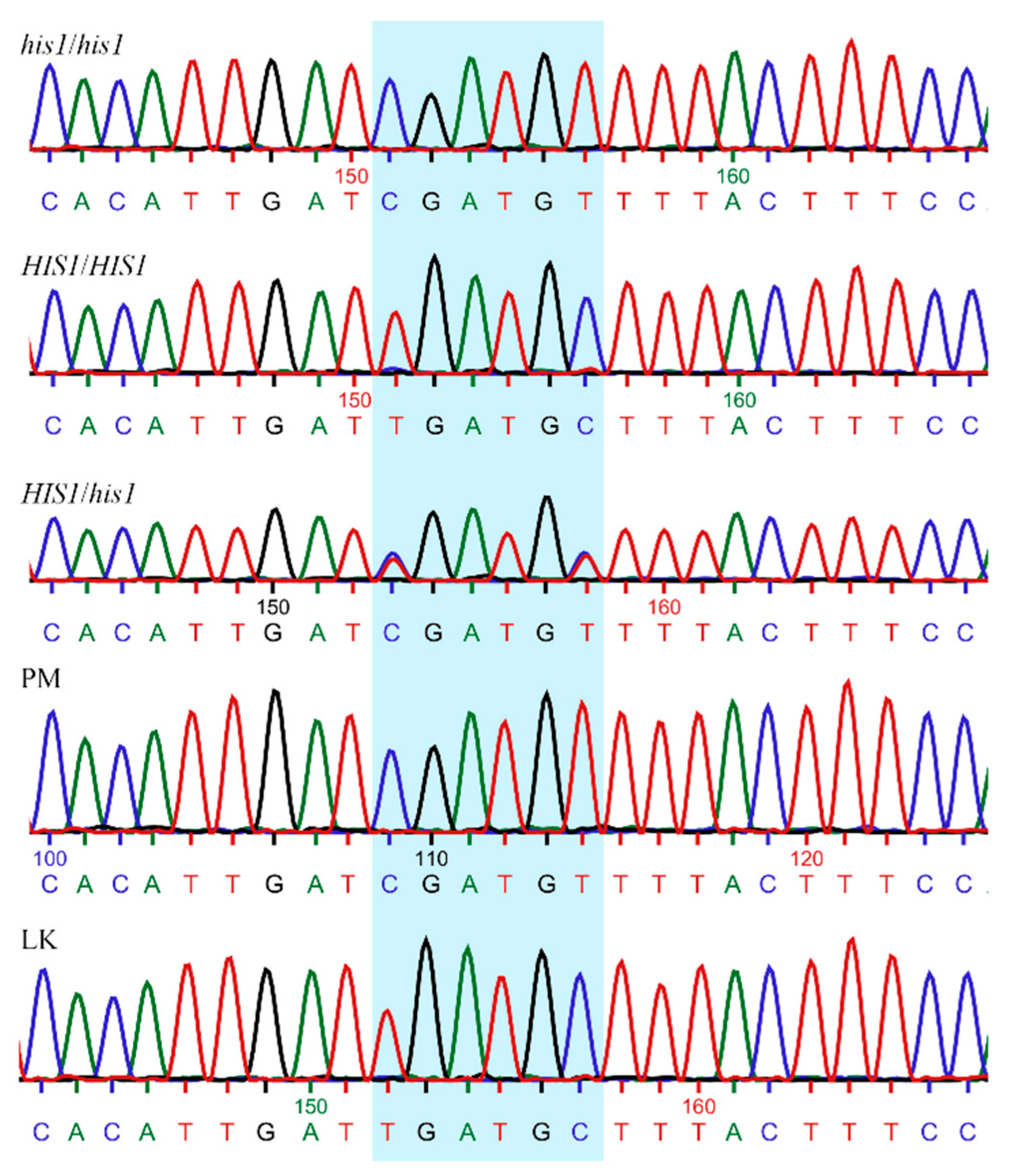 Plants 09 01576 g001