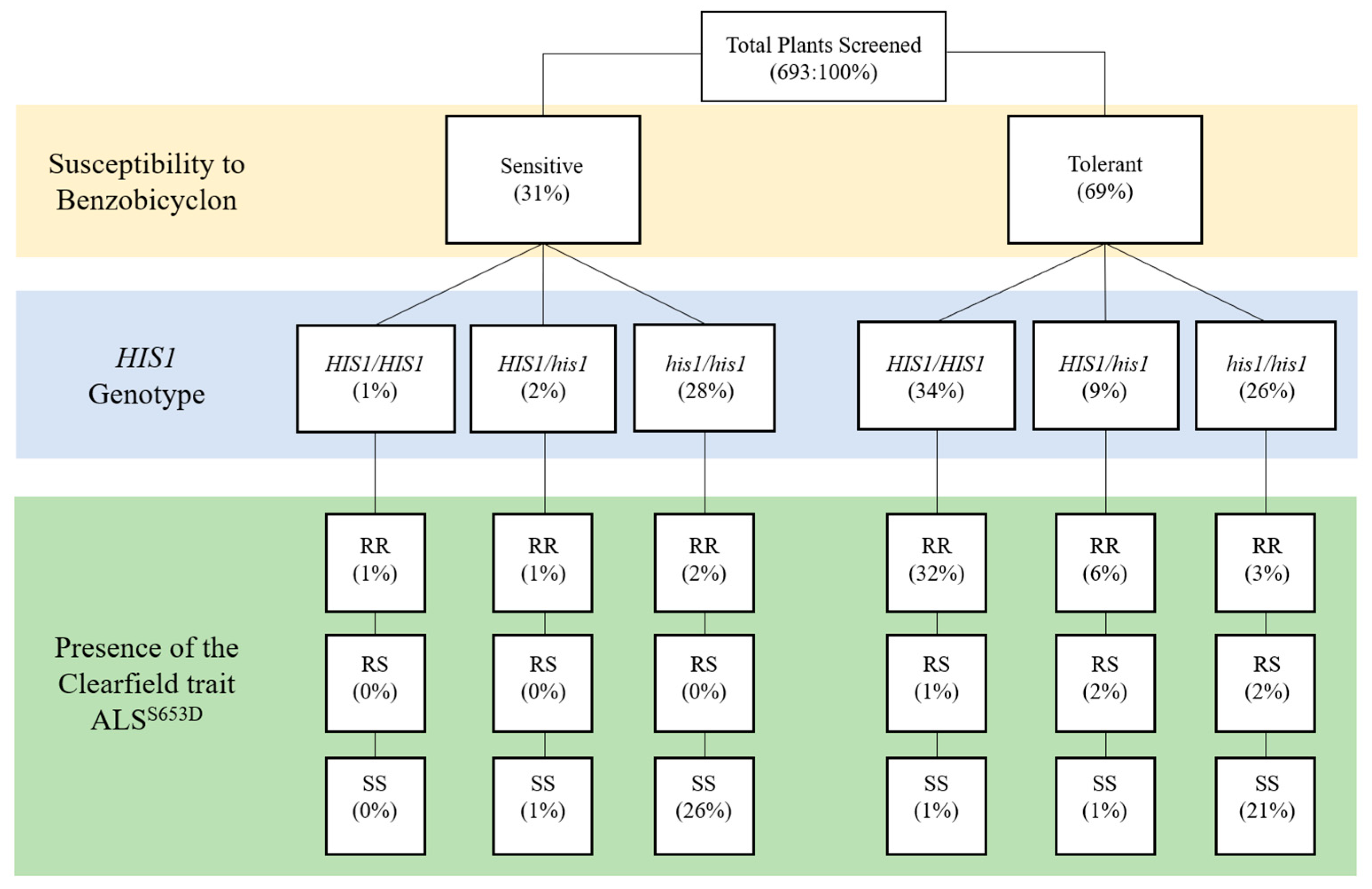 Plants 09 01576 g002
