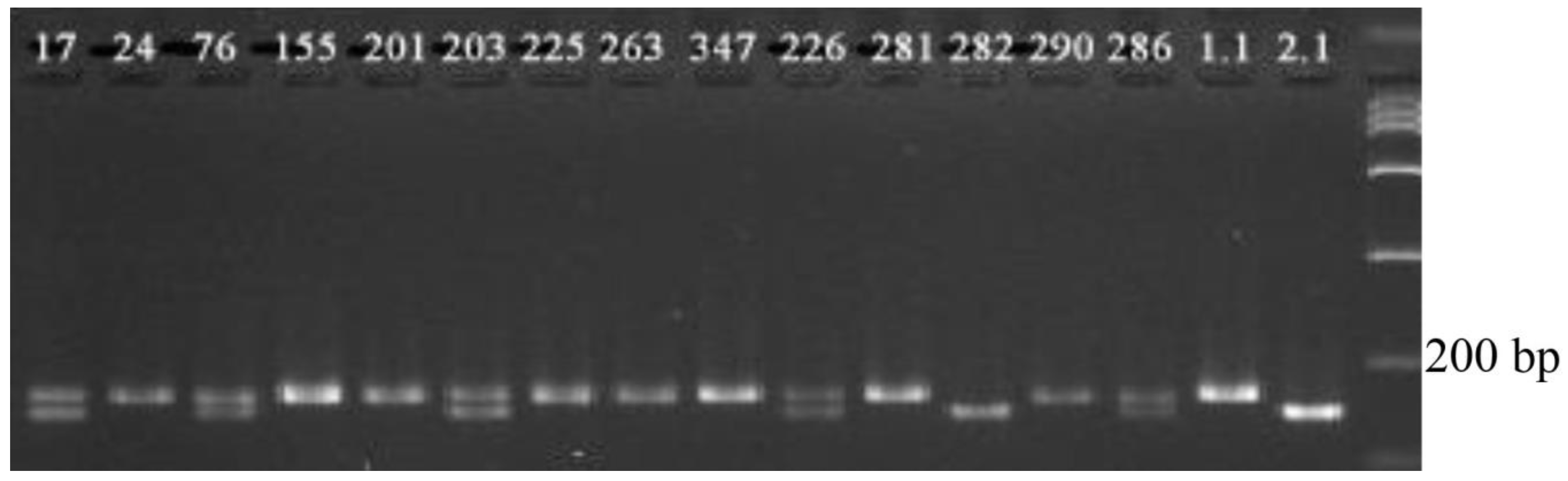 Plants 09 01580 g007