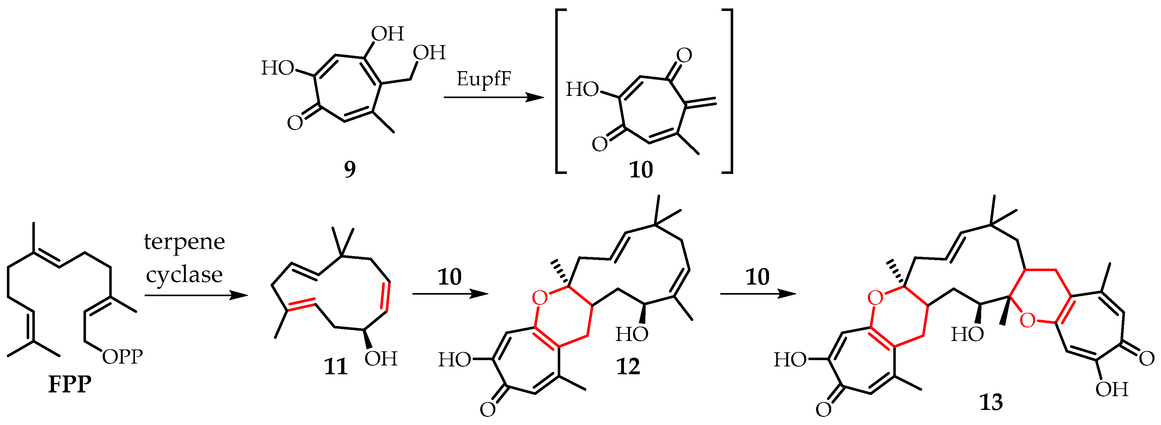Plants 09 01582 g004