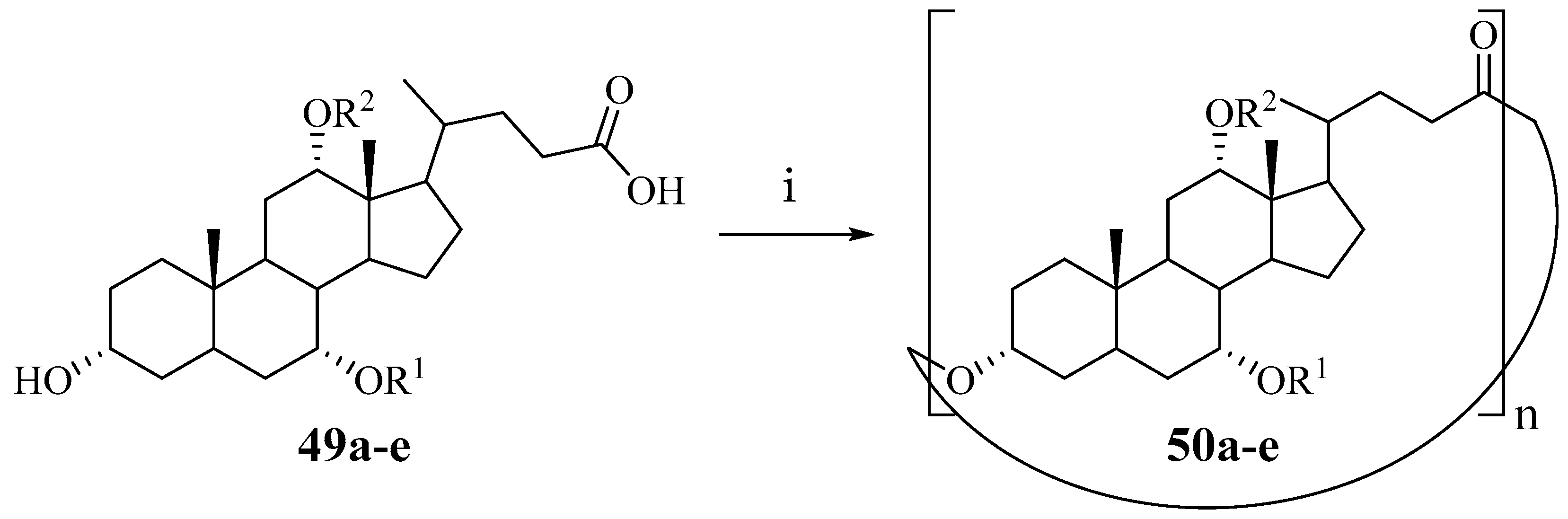 Plants 09 01582 sch006