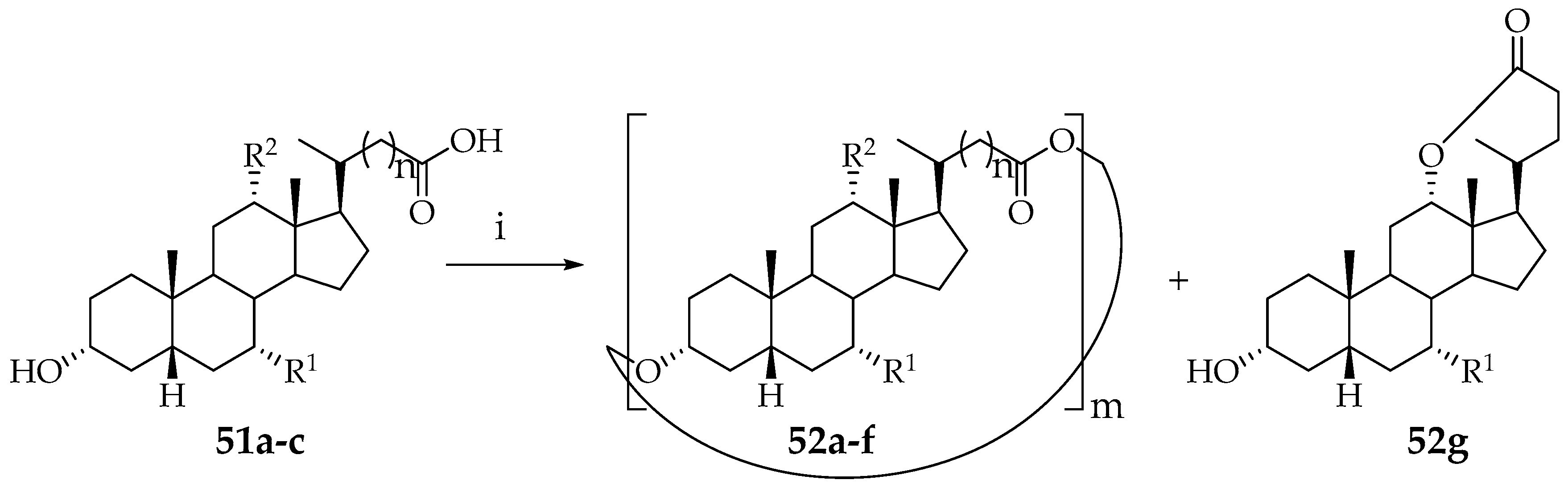 Plants 09 01582 sch007