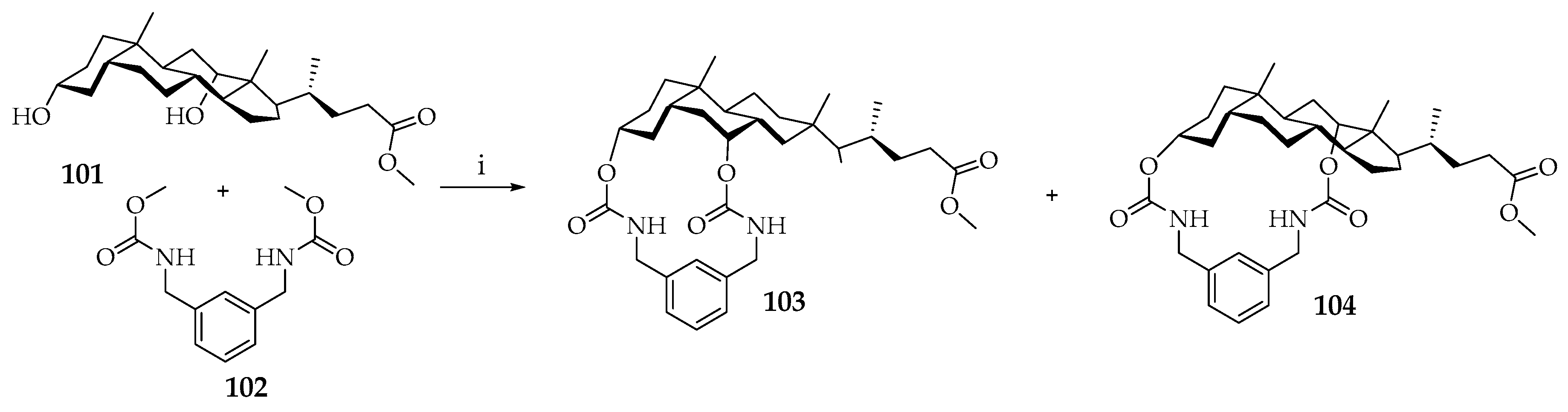 Plants 09 01582 sch017