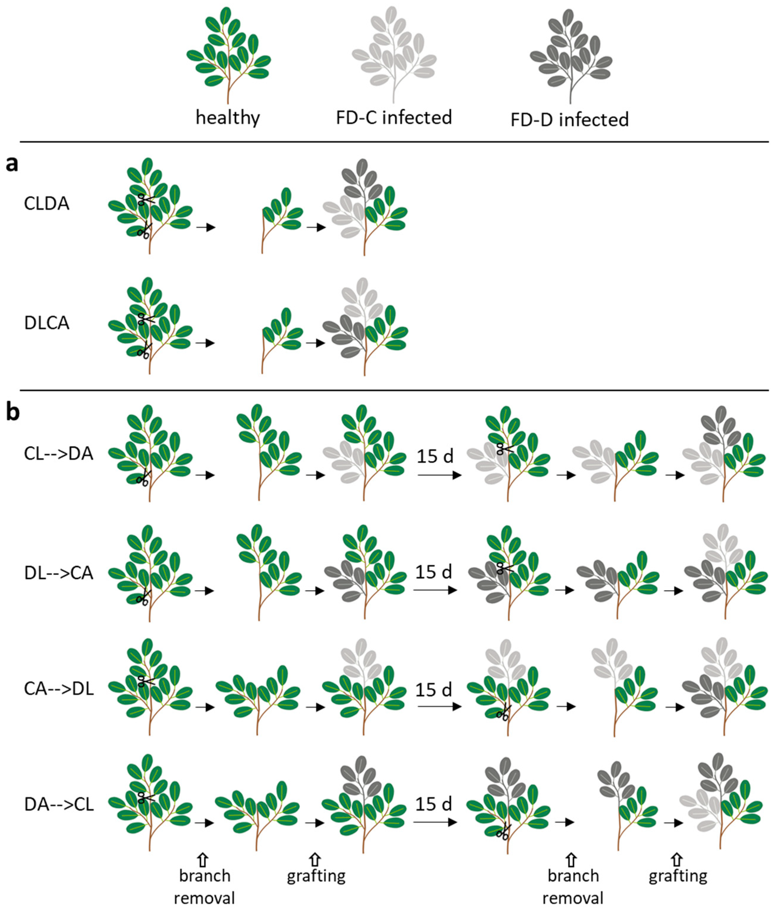 Plants 09 01594 g004 Plants 09 01594 g004