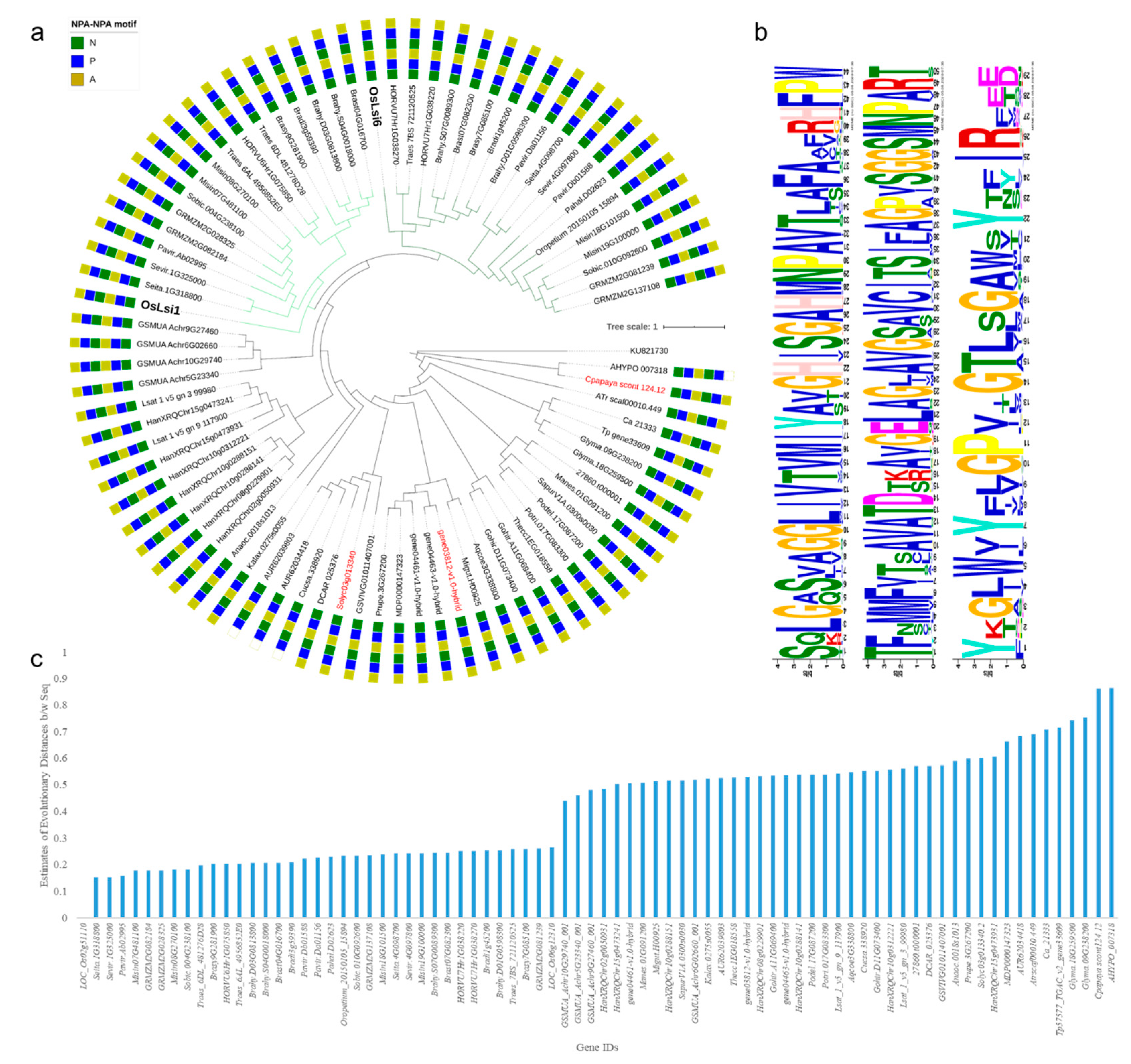 Plants 09 01612 g001
