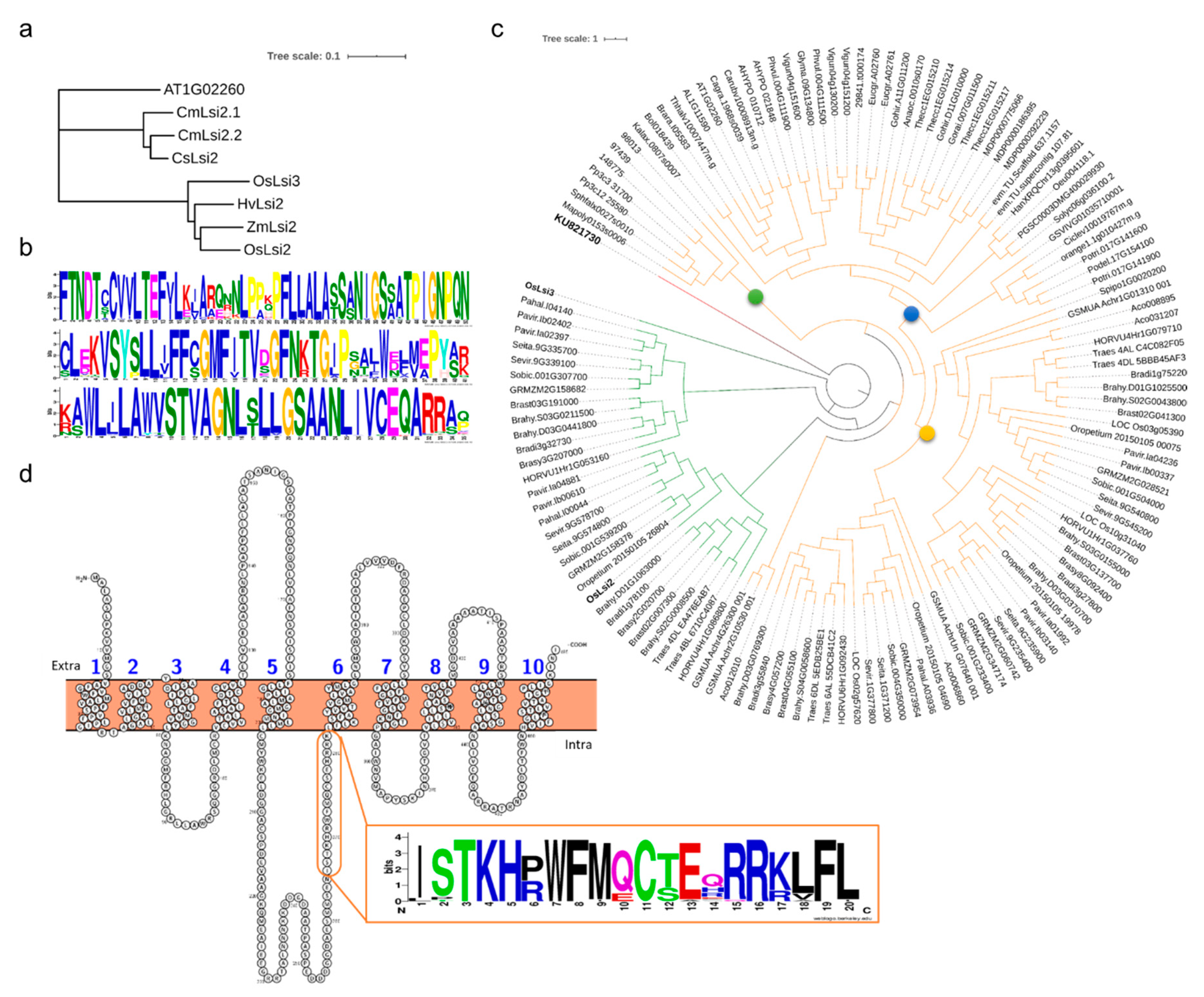 Plants 09 01612 g002