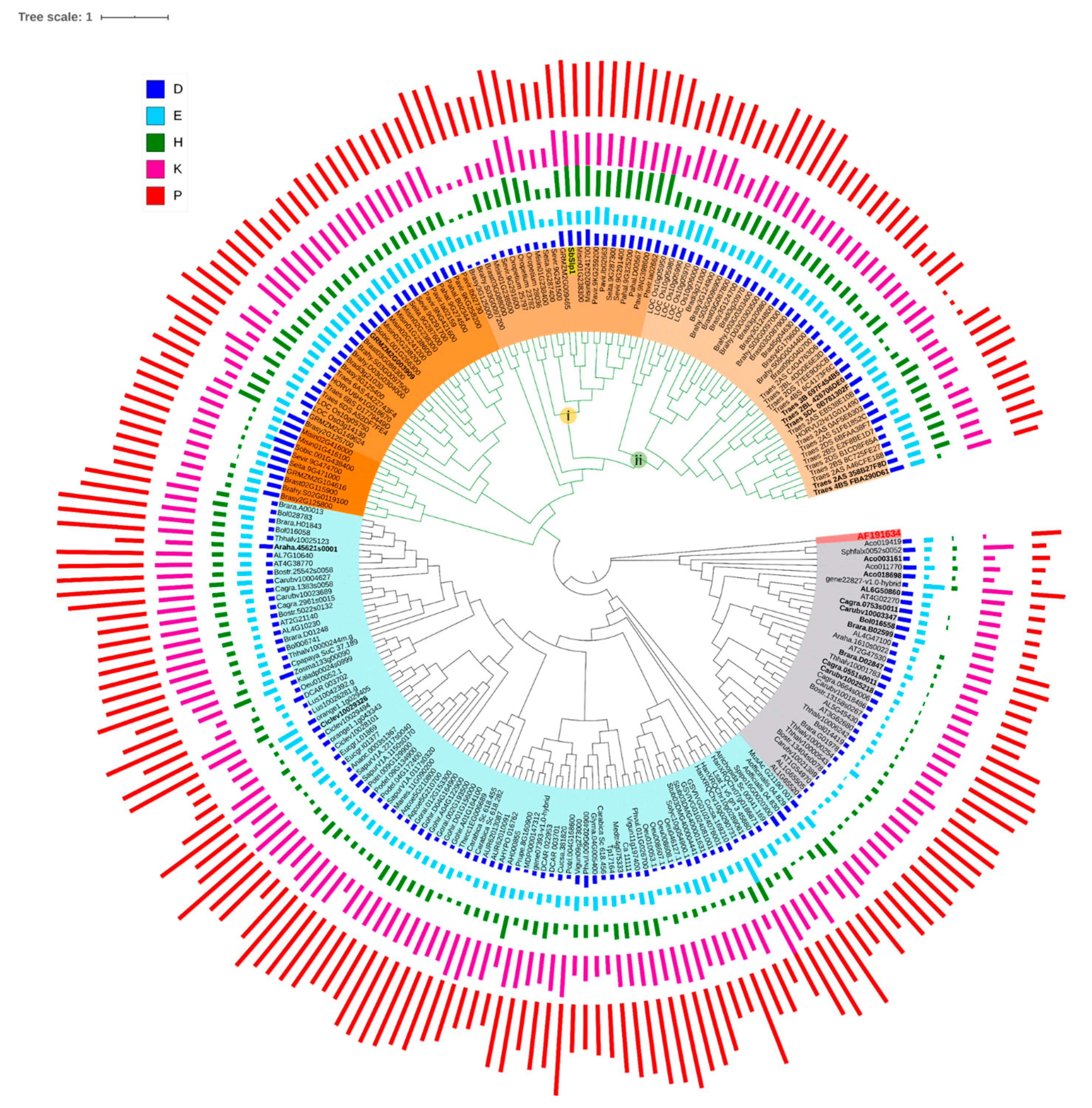 Plants 09 01612 g003