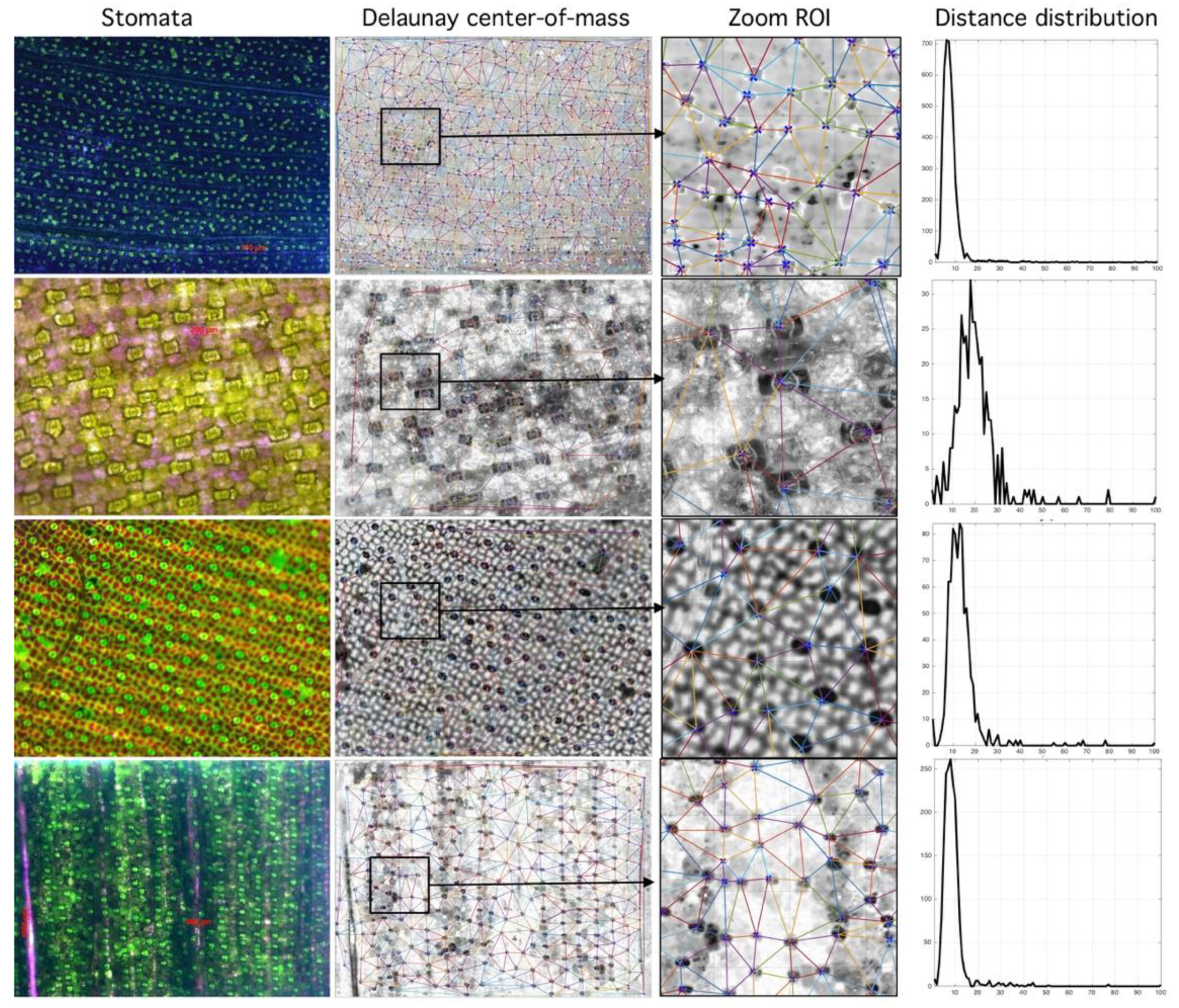 Plants 09 01613 g007