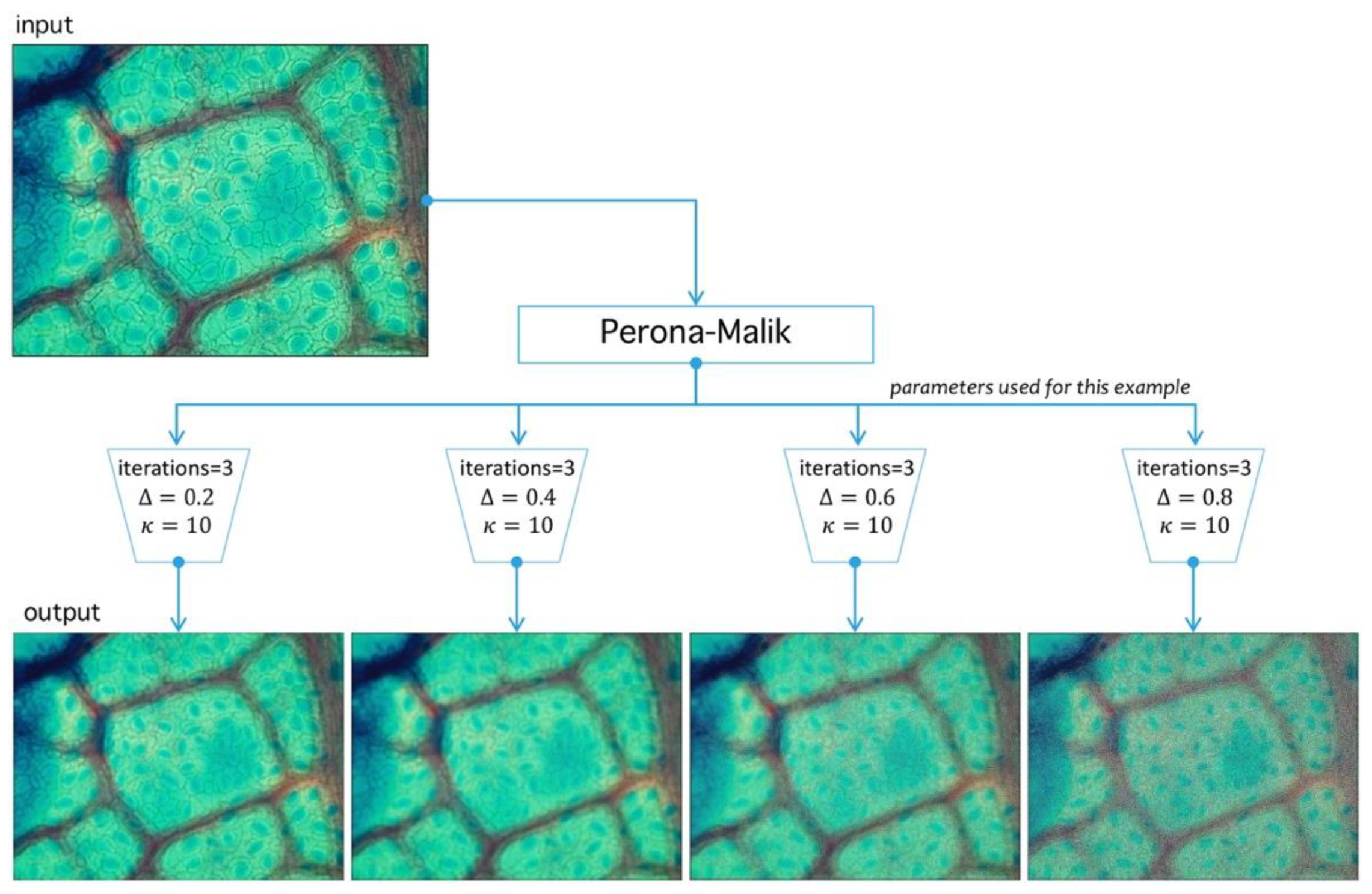 Plants 09 01613 g010