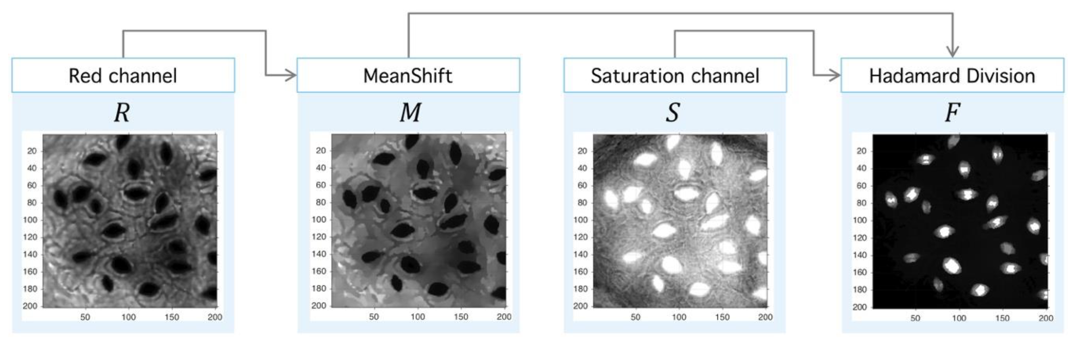 Plants 09 01613 g012