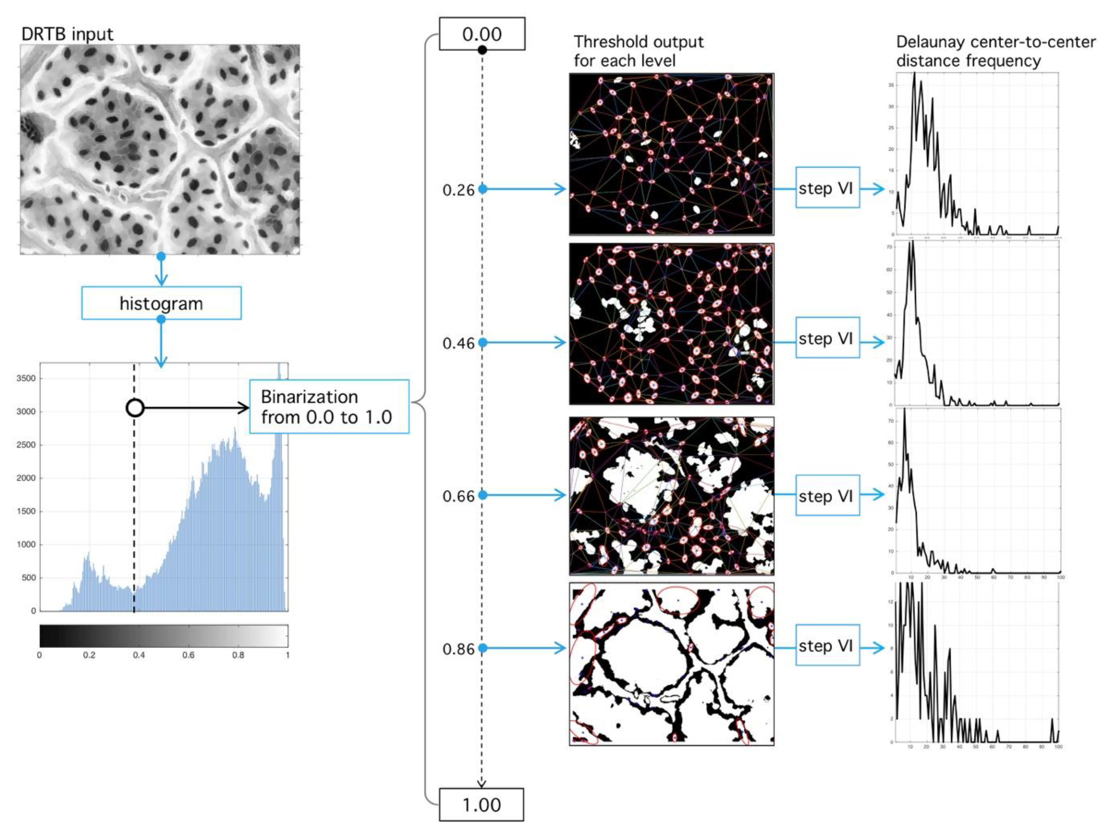 Plants 09 01613 g013