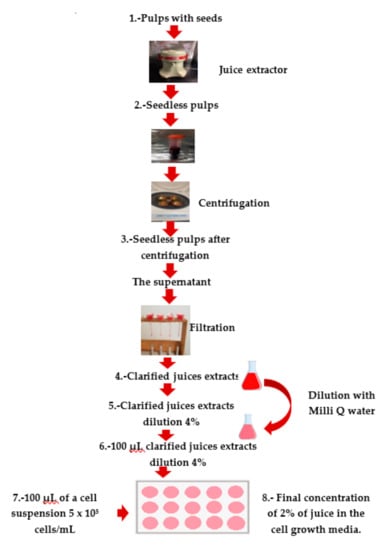 Plants 09 01623 g0a1 Plants 09 01623 g0a1