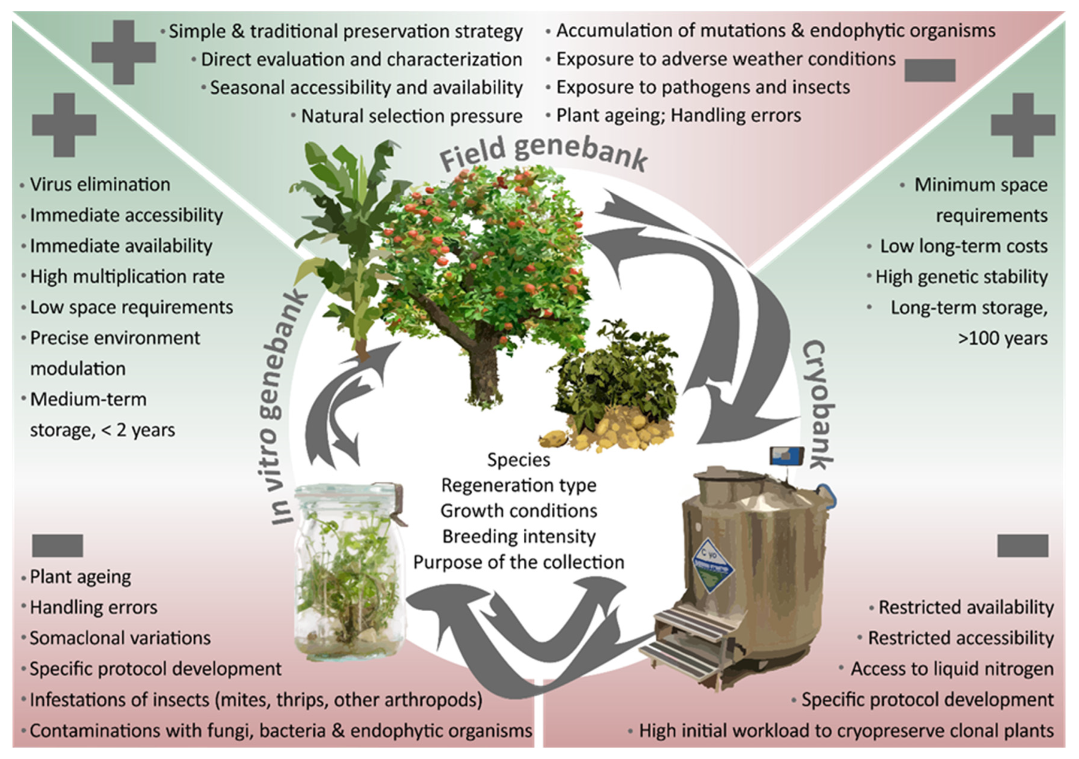 Plants 09 01634 g001 Plants 09 01634 g001