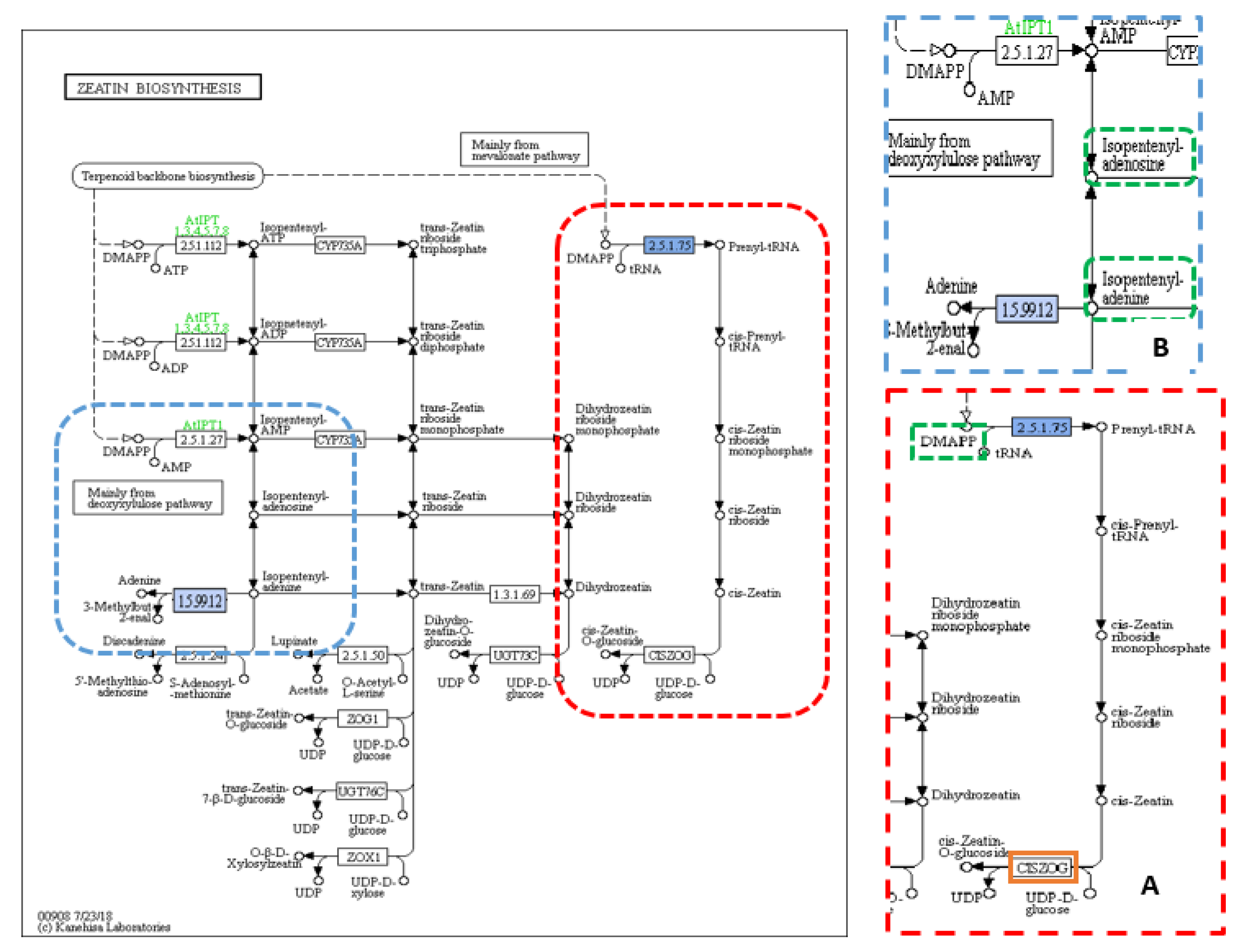 Plants 09 01653 g003