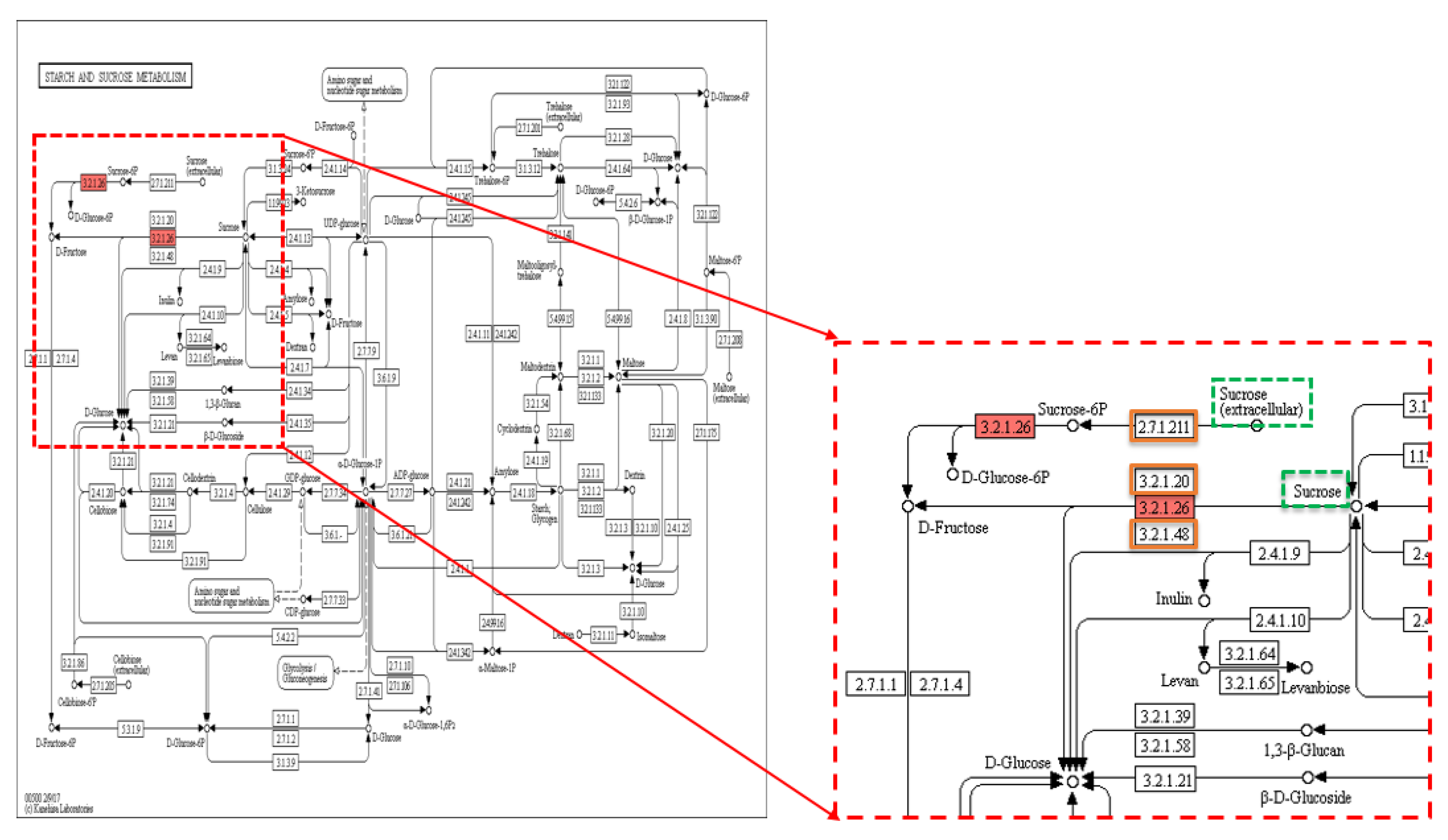 Plants 09 01653 g004