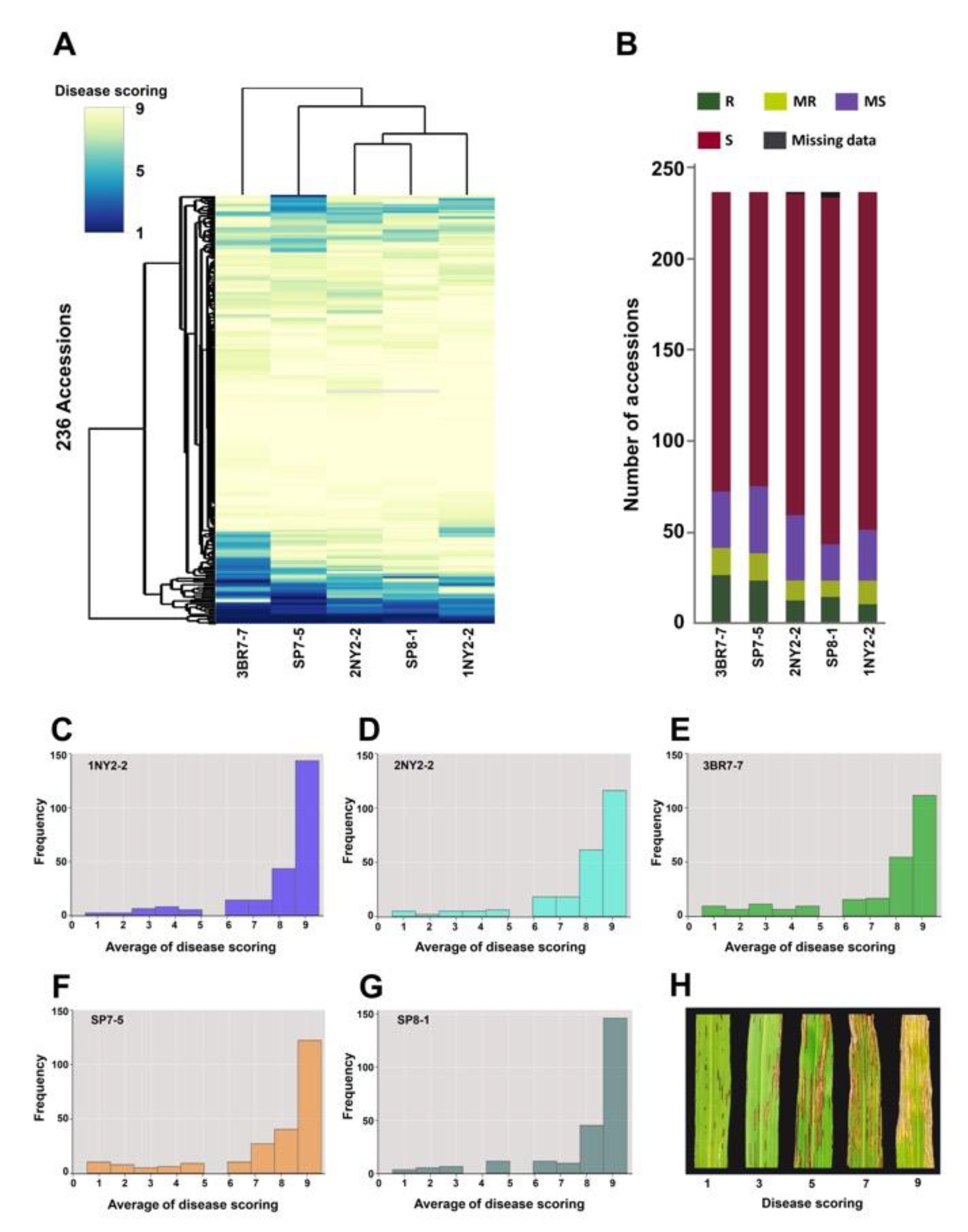 Plants 09 01673 g001 Plants 09 01673 g001