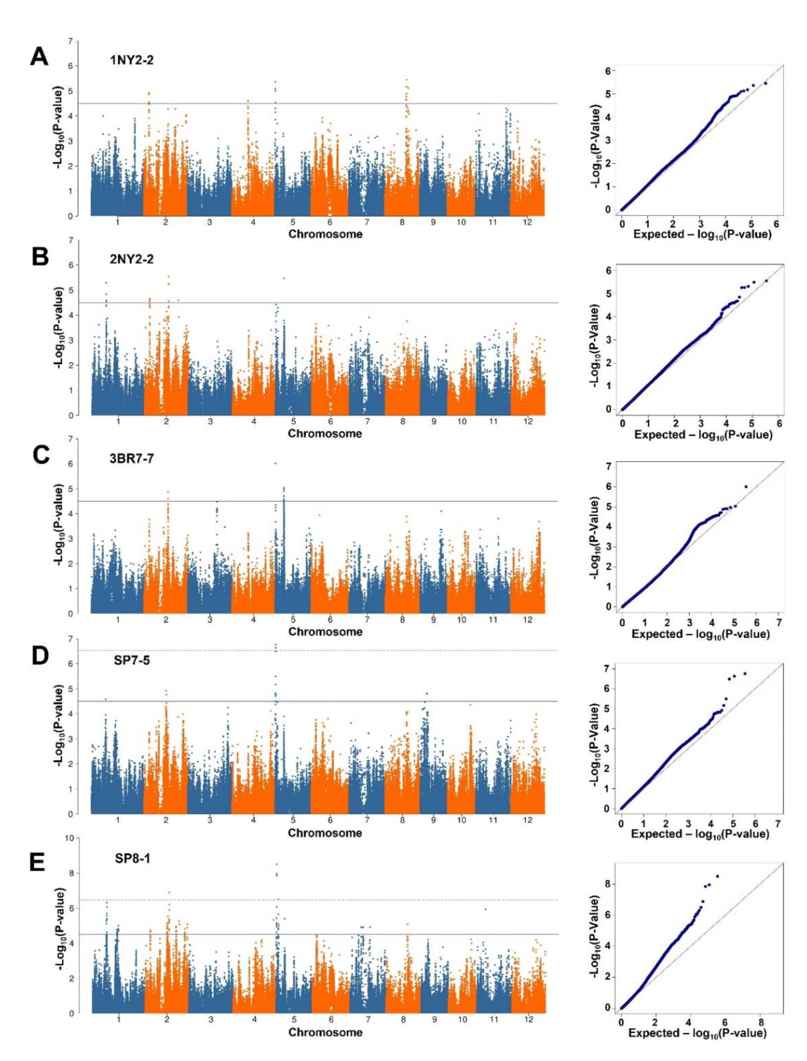 Plants 09 01673 g003 Plants 09 01673 g003