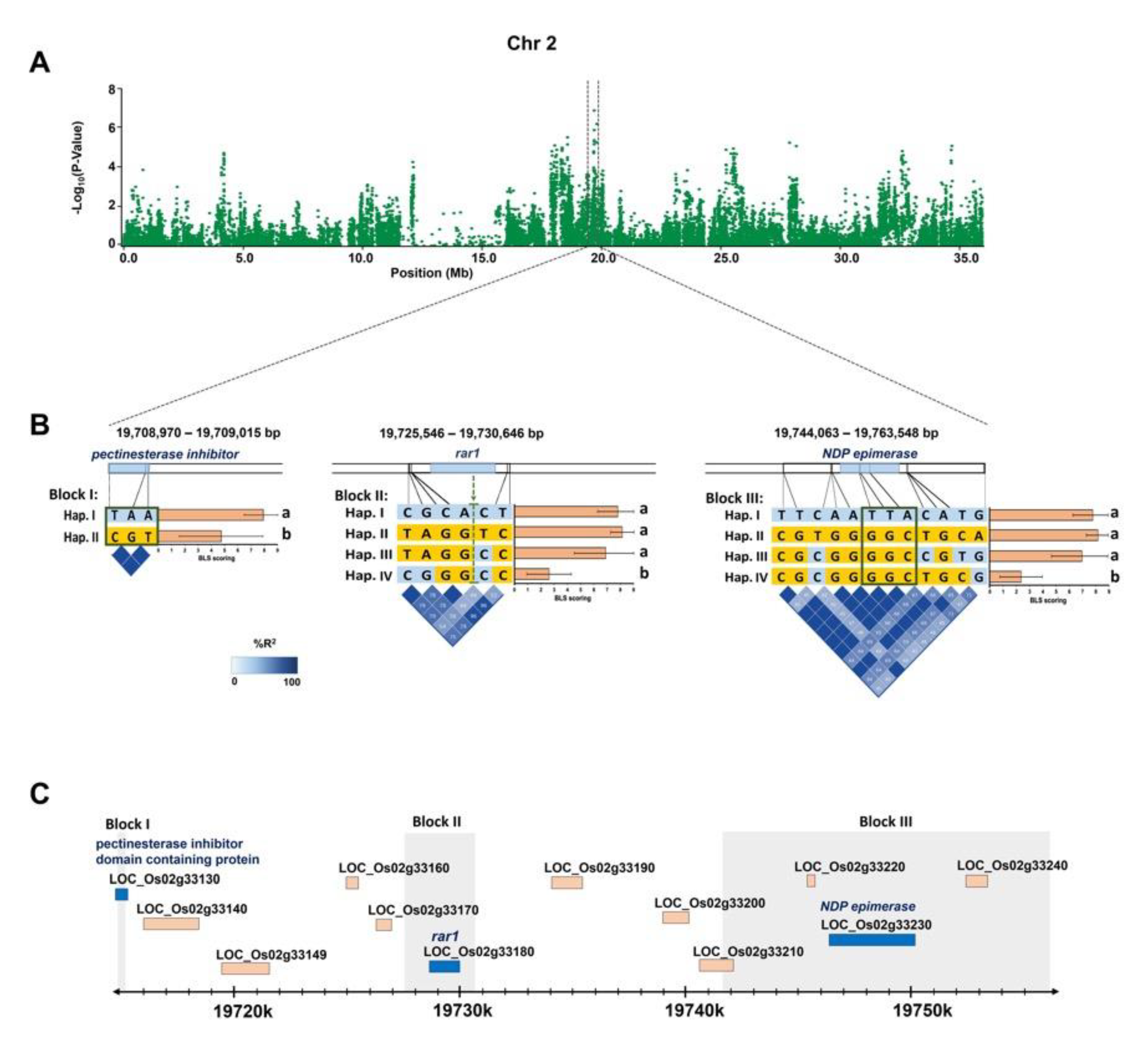 Plants 09 01673 g006 Plants 09 01673 g006