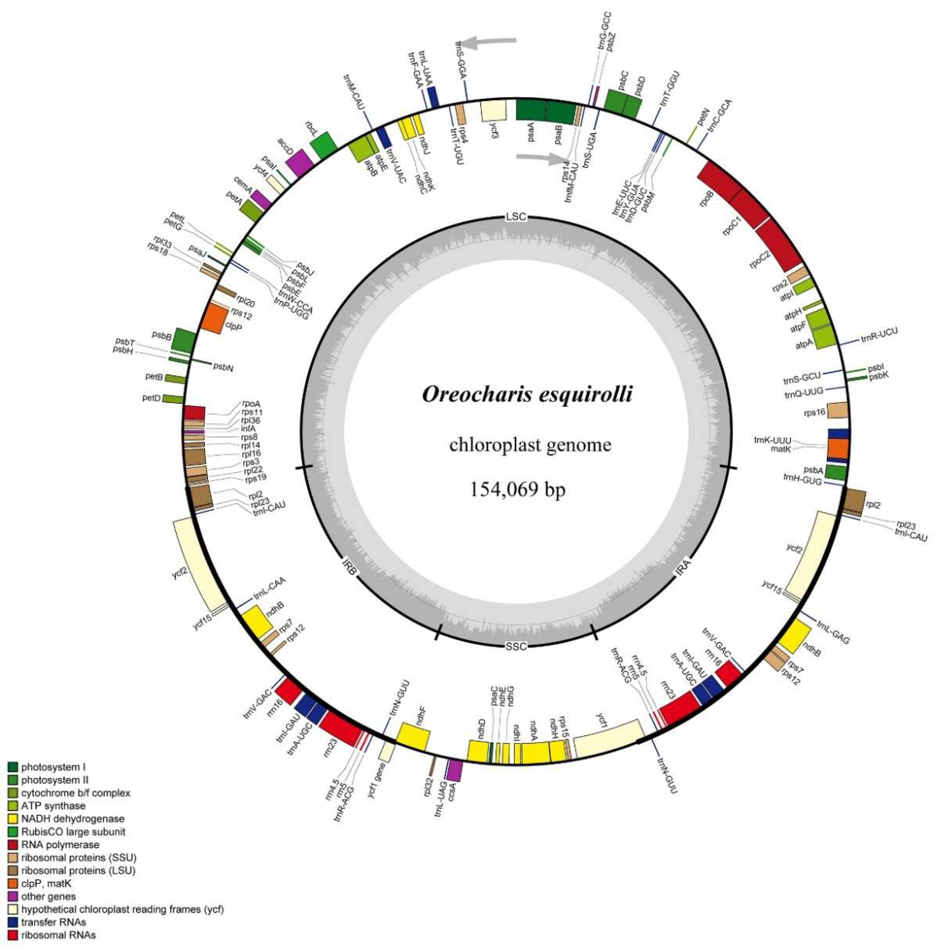 Plants 09 01692 g001