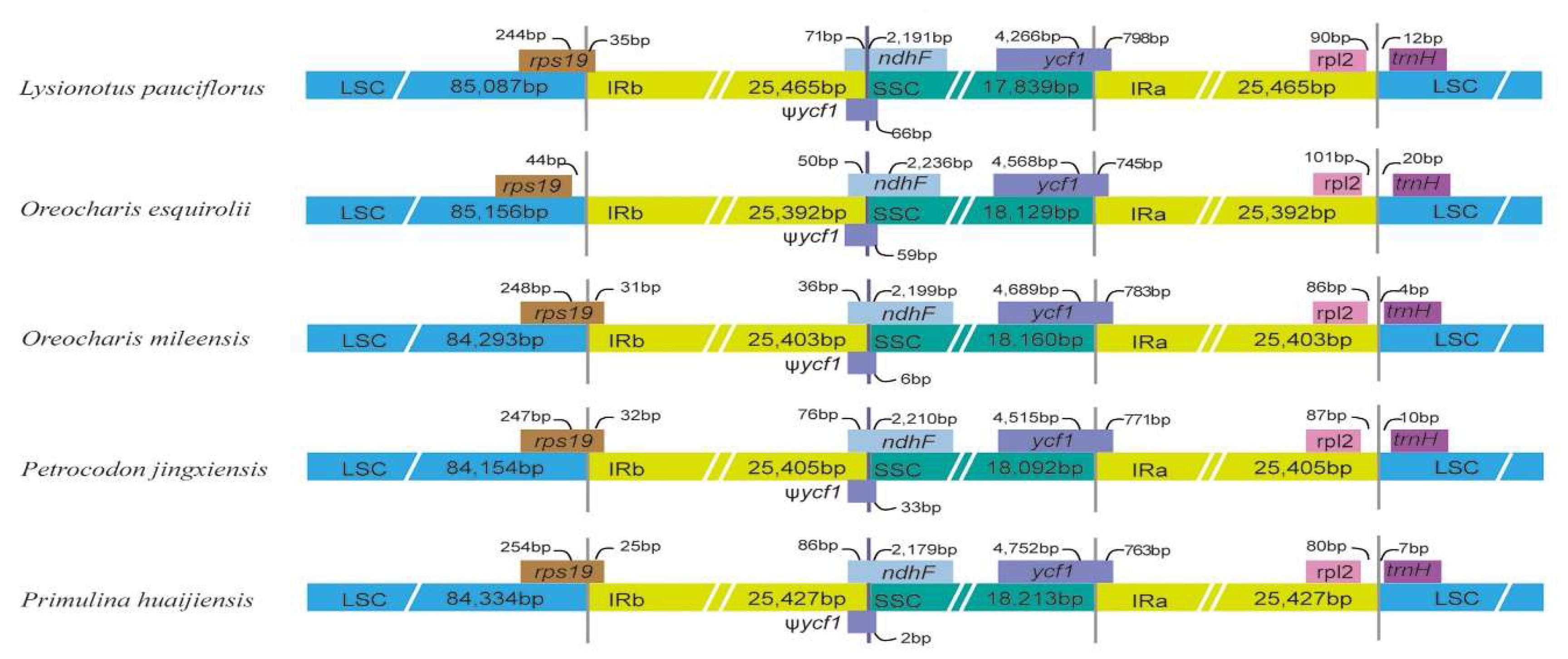 Plants 09 01692 g005