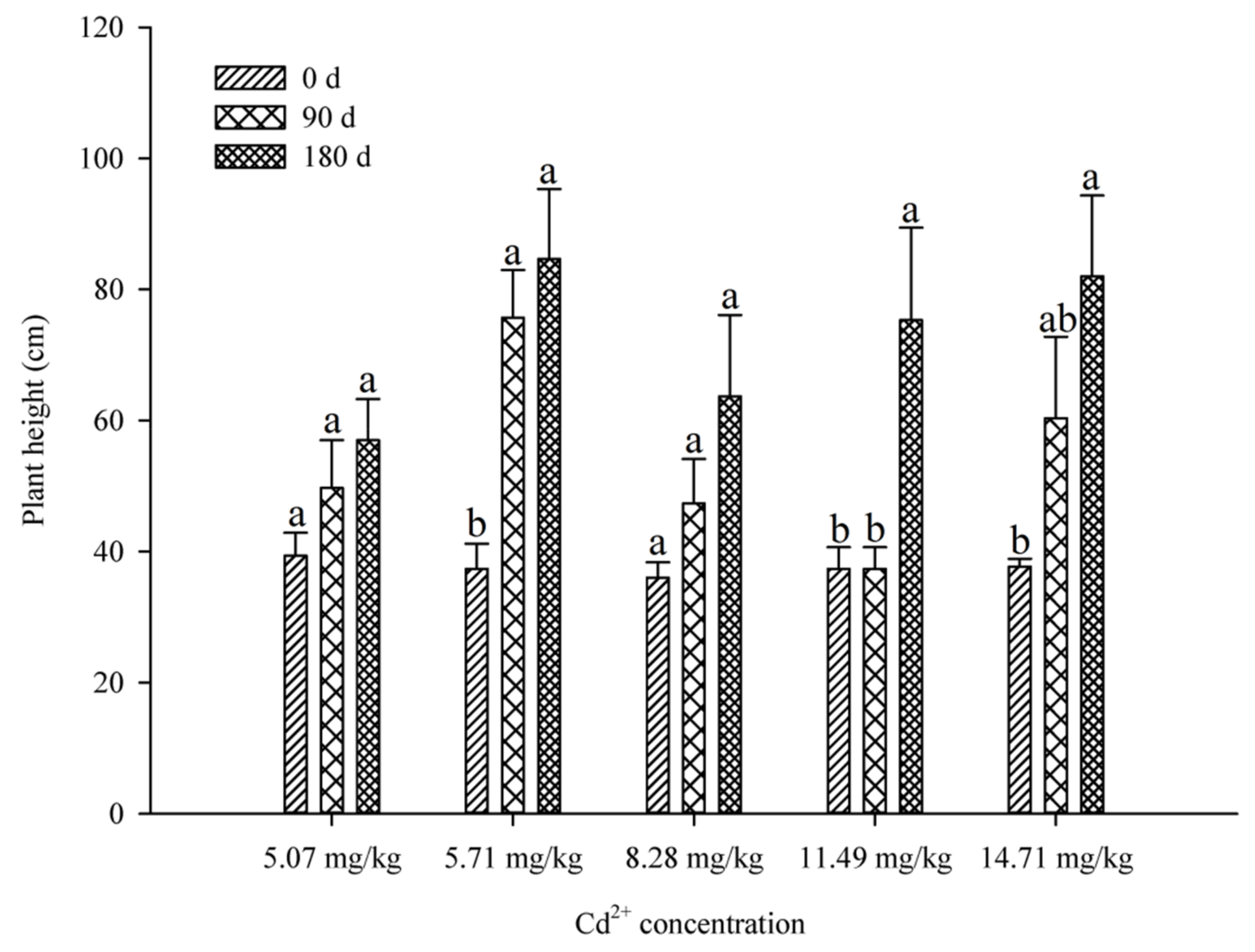 Plants 09 01698 g001