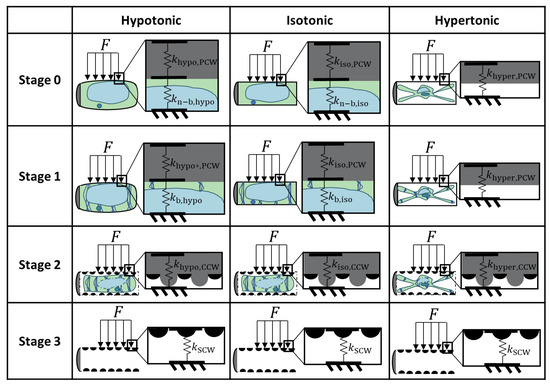 Plants 09 01715 g0a3