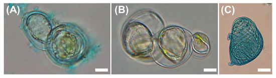 Plants 09 01715 g0a4