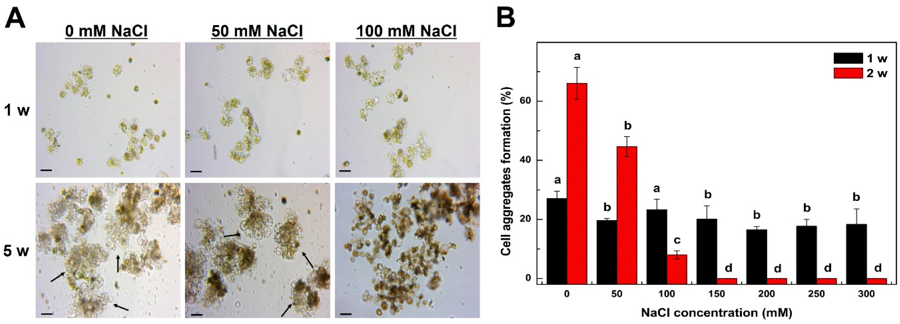 Plants 09 01720 g002 Plants 09 01720 g002