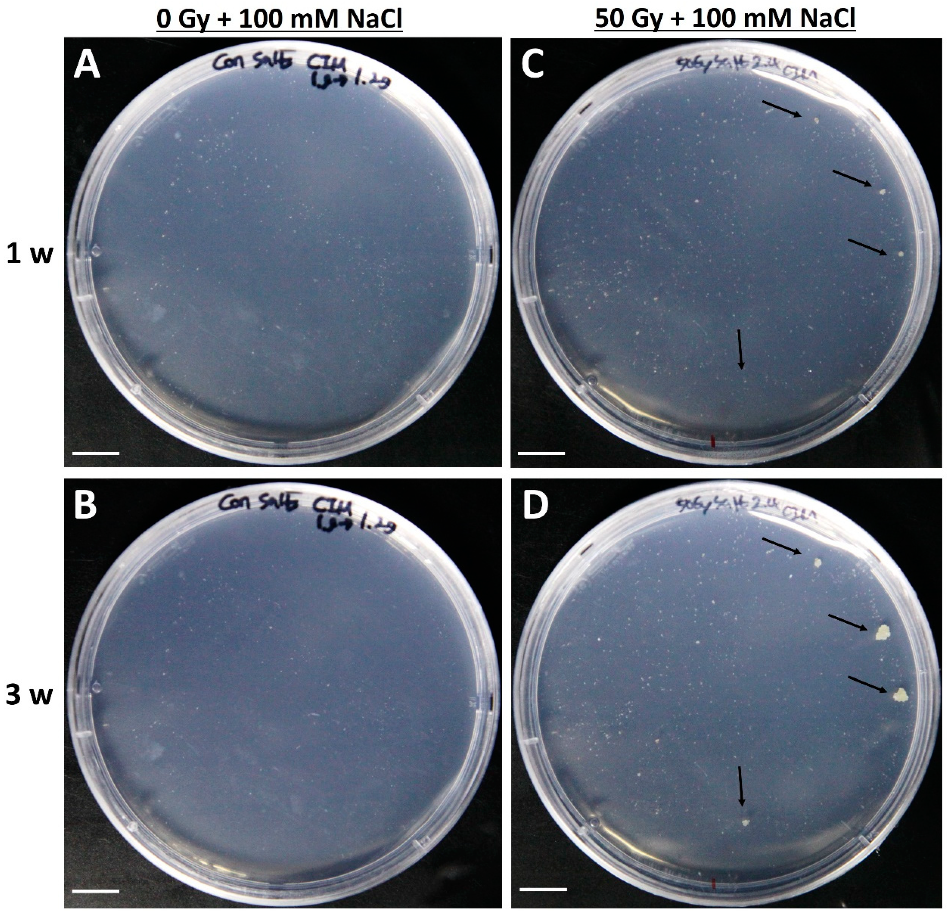 Plants 09 01720 g004 Plants 09 01720 g004