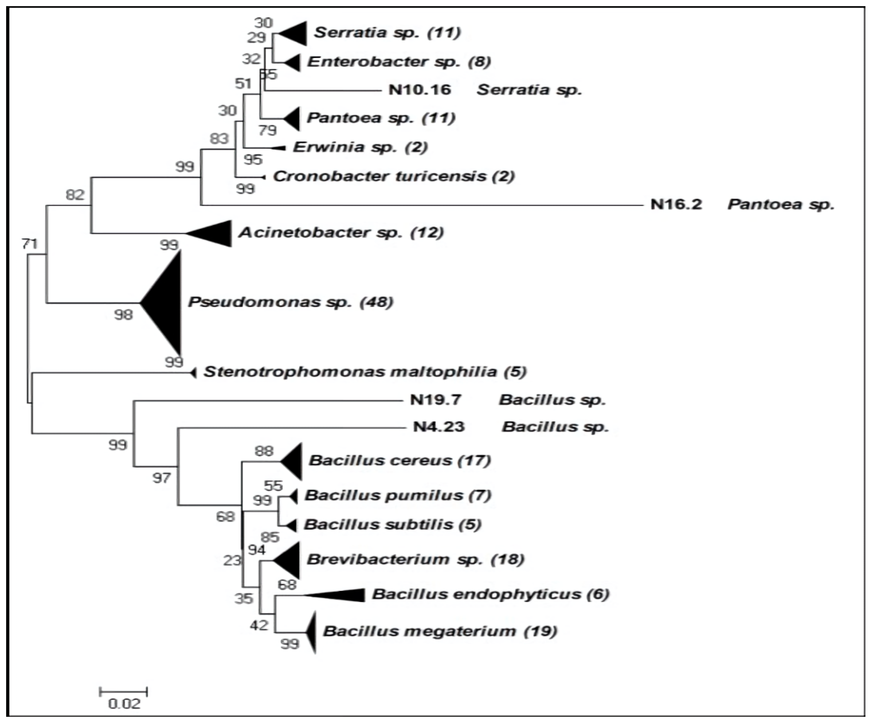 Plants 09 01731 g001 Plants 09 01731 g001