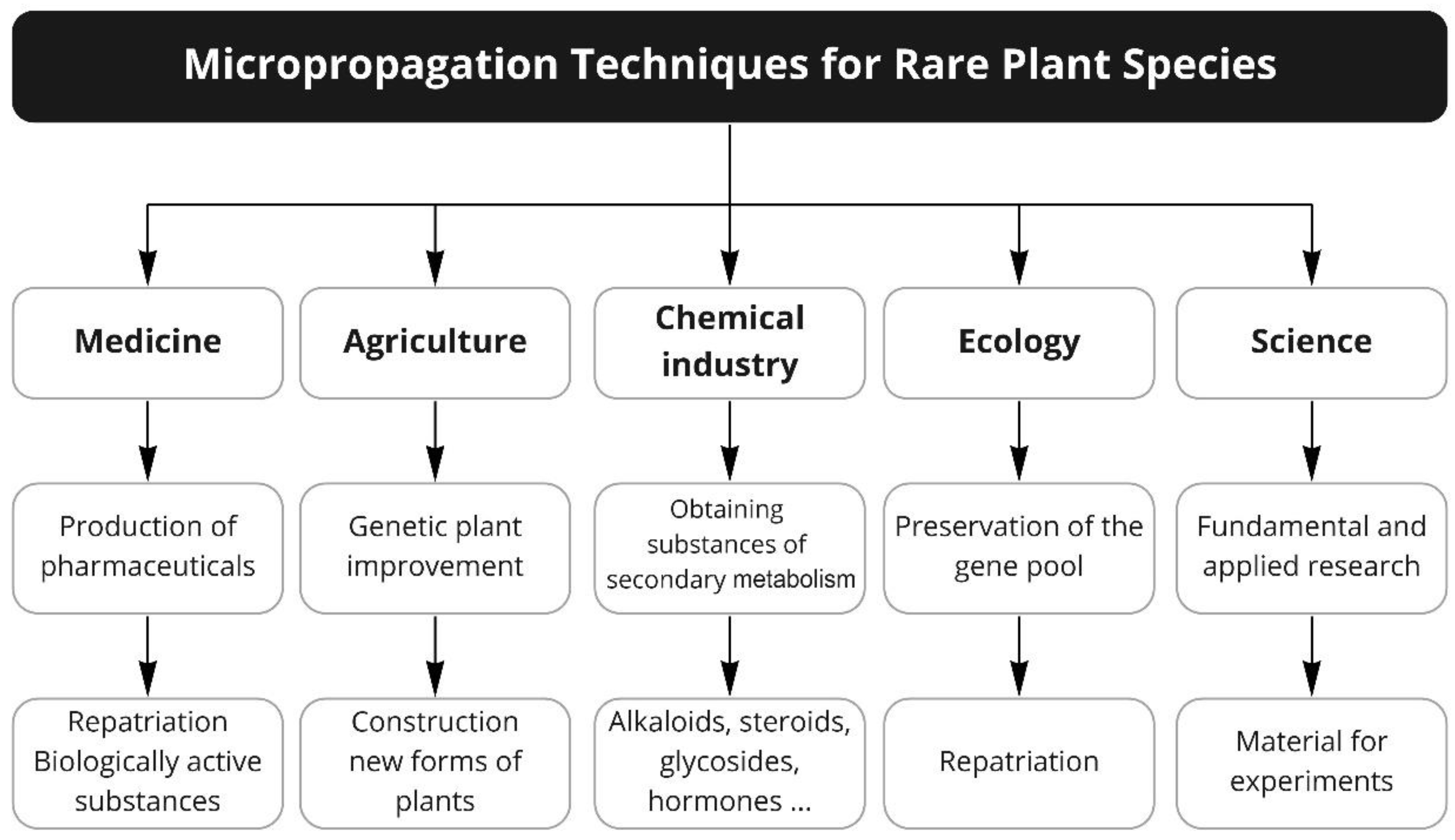 Plants 09 01733 g001 Plants 09 01733 g001
