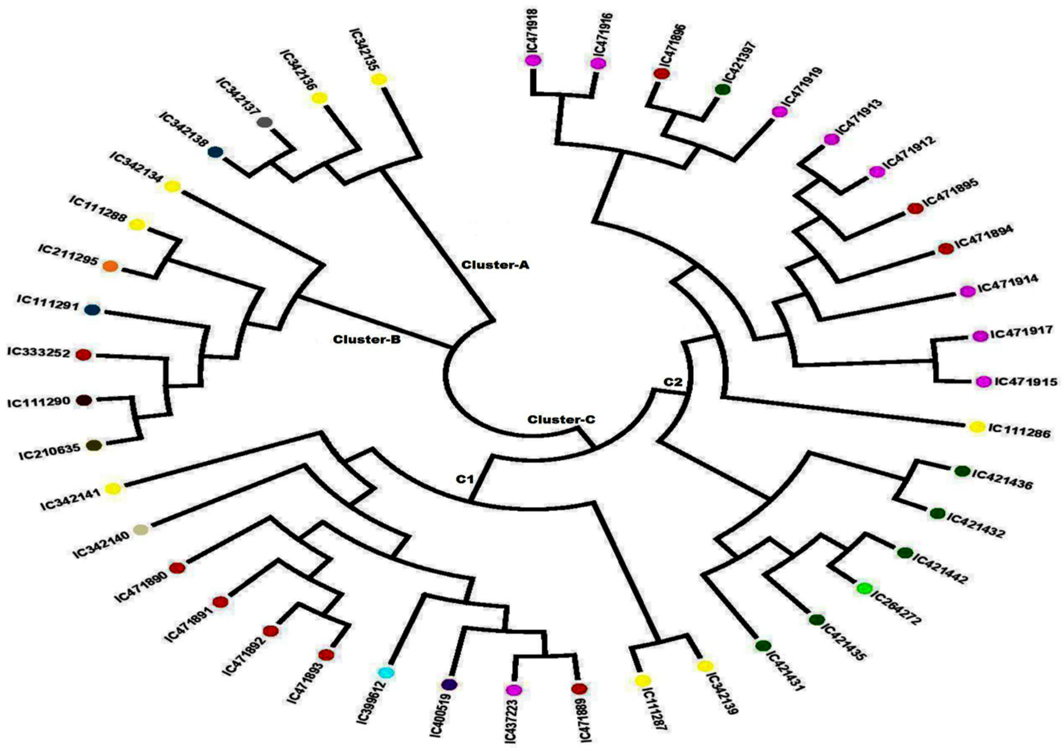 Plants 09 01734 g003 Plants 09 01734 g003