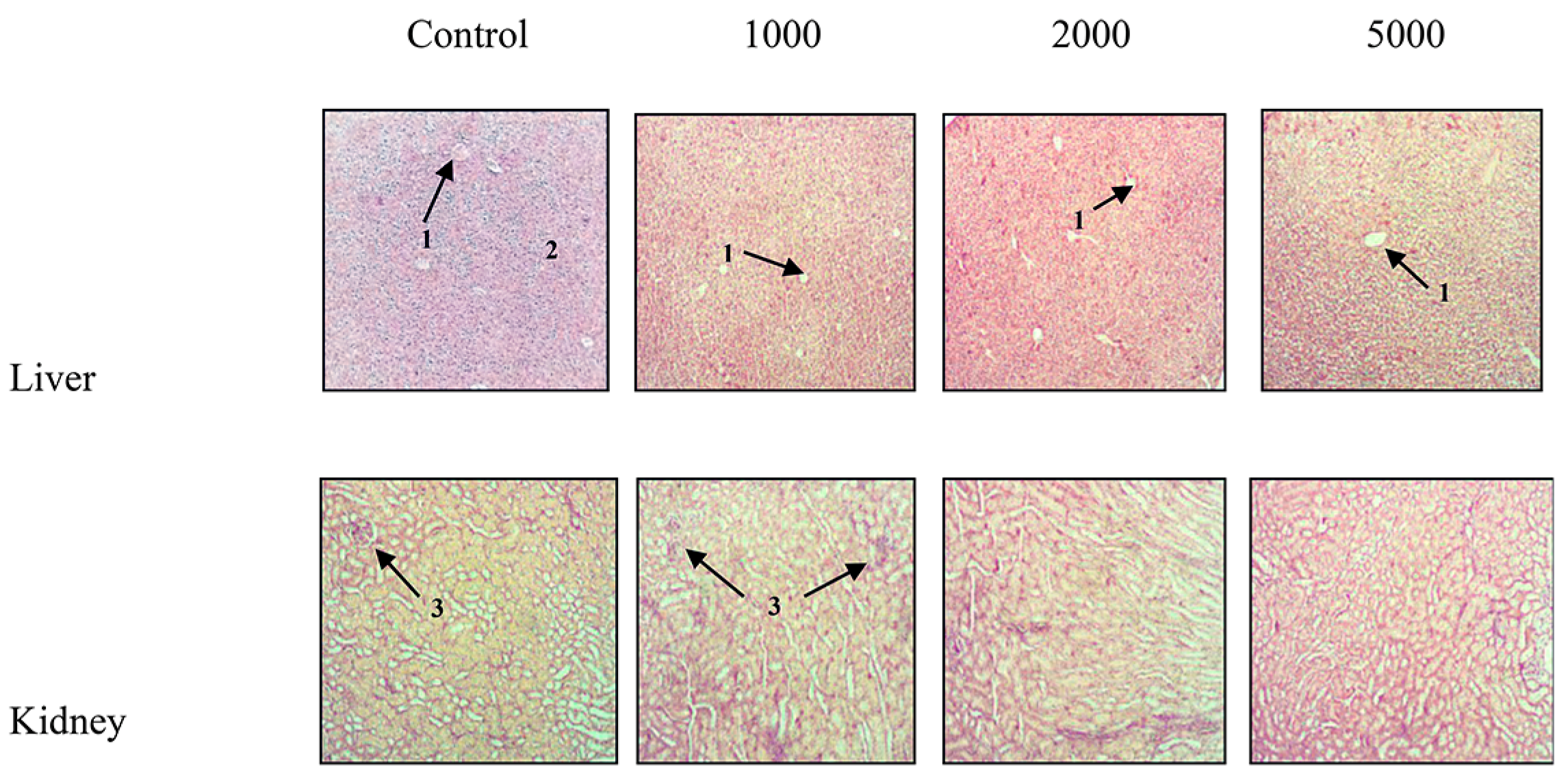 Plants 09 01744 g002