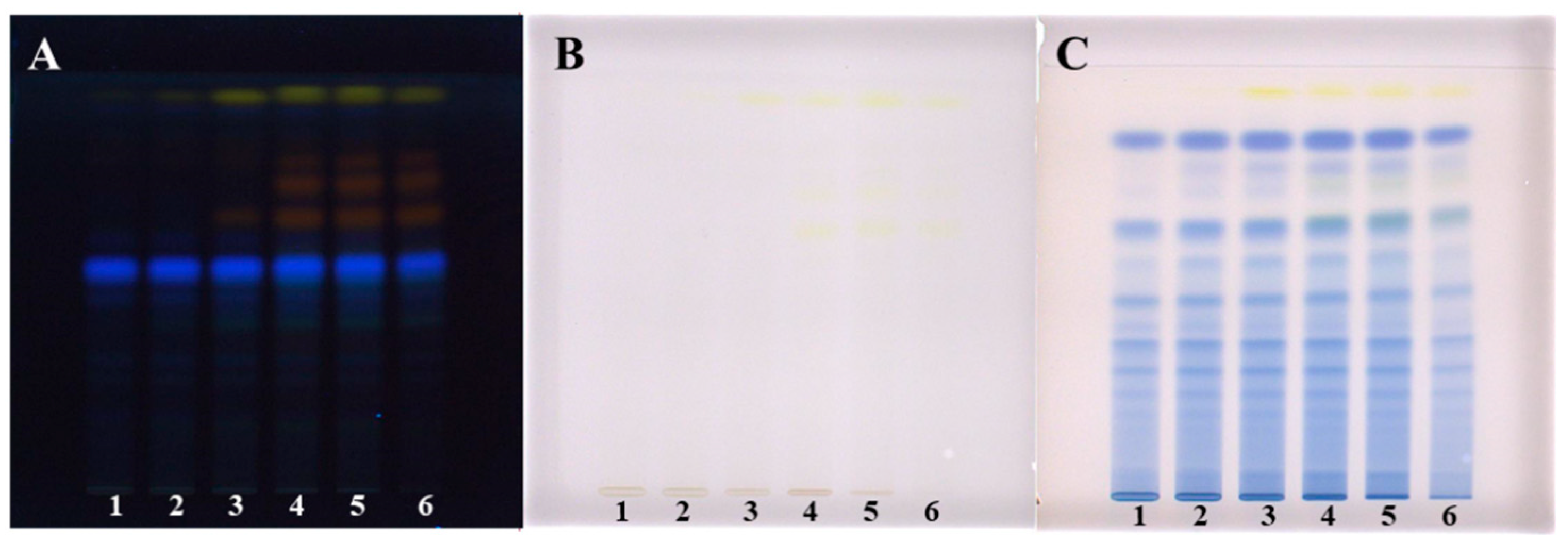 Plants 09 01753 g002 Plants 09 01753 g002