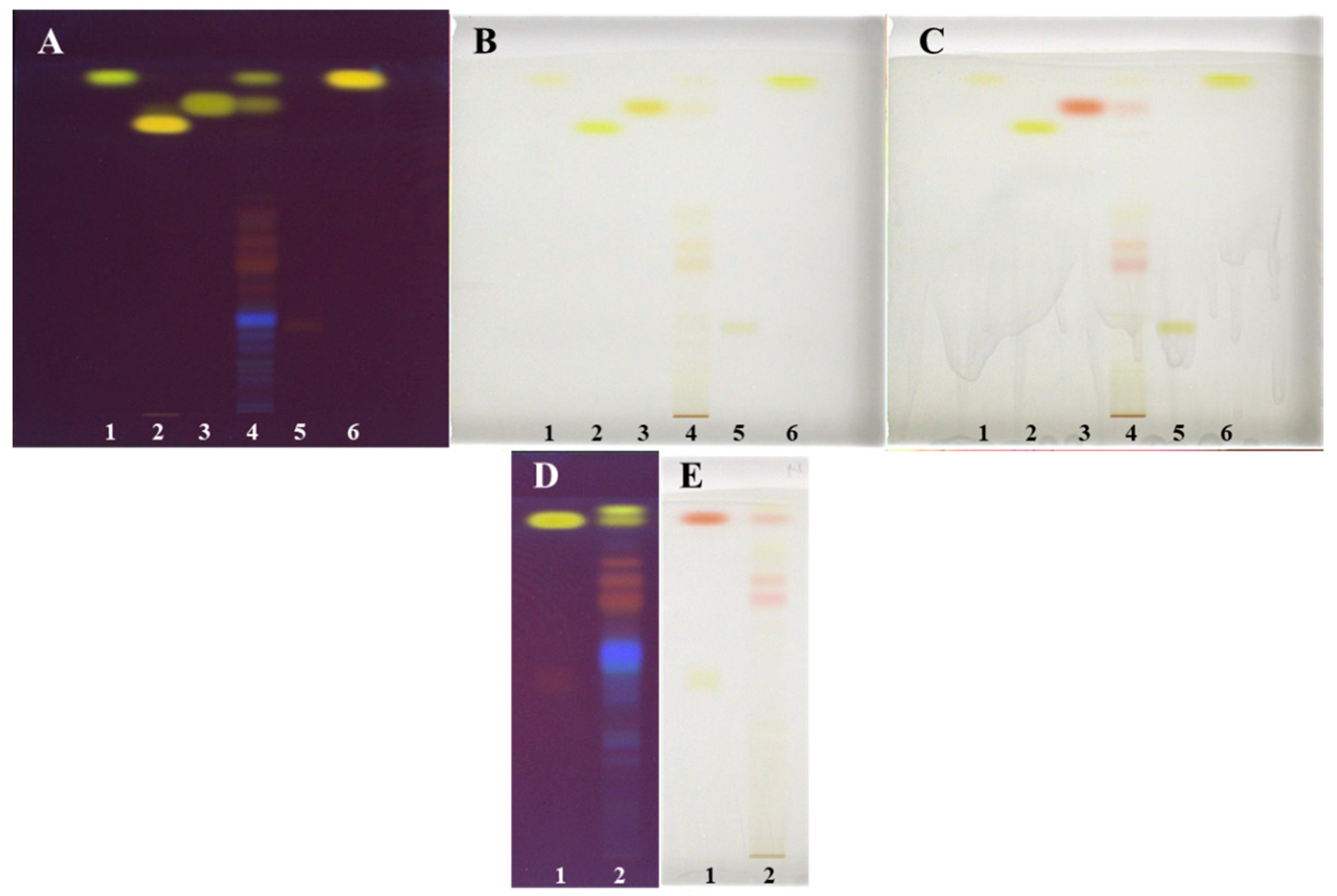 Plants 09 01753 g008 Plants 09 01753 g008