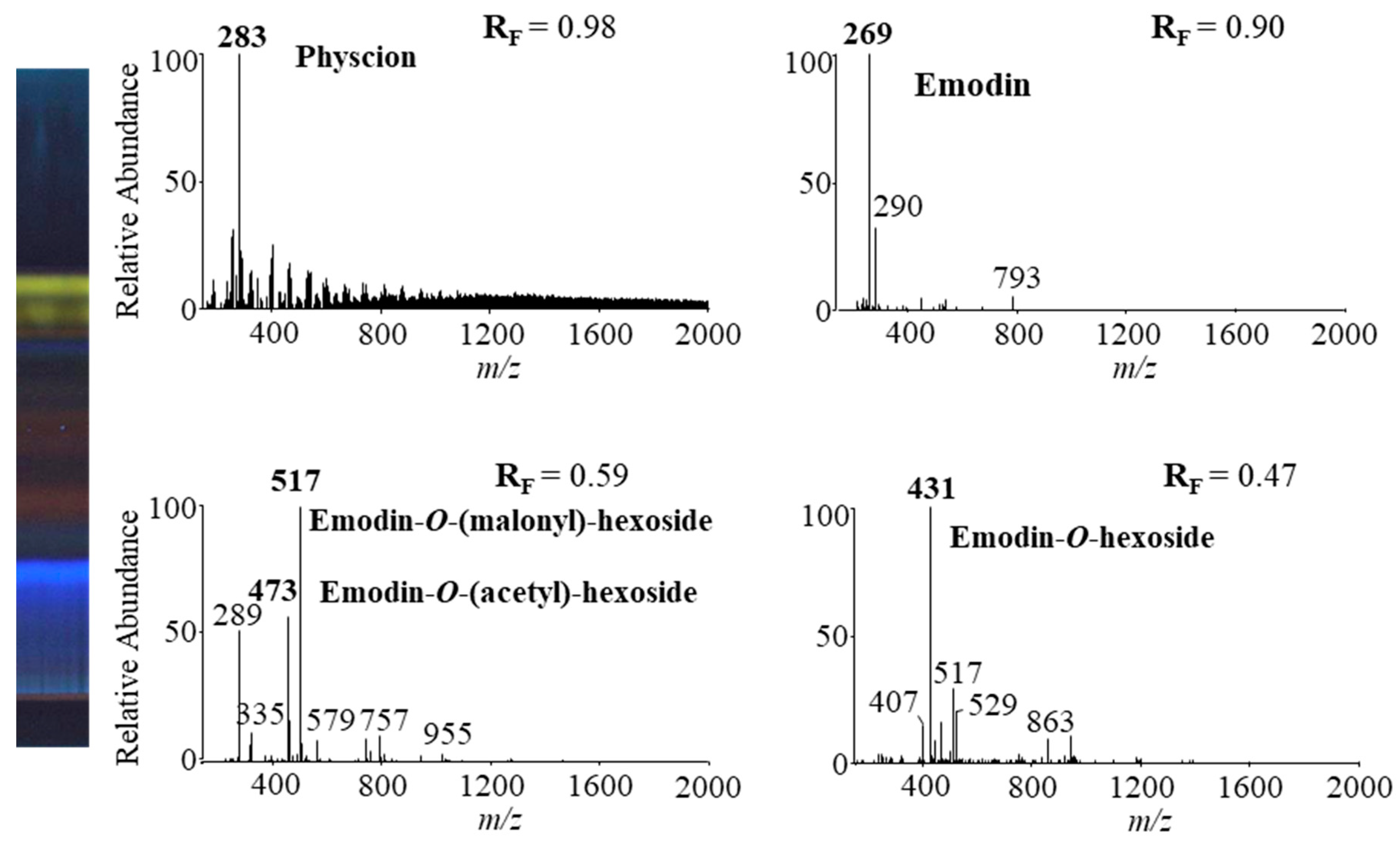 Plants 09 01753 g011 Plants 09 01753 g011