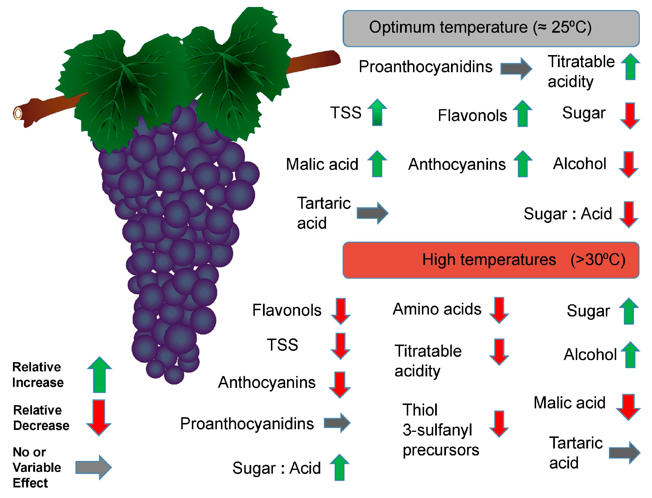 Plants 09 01754 g004