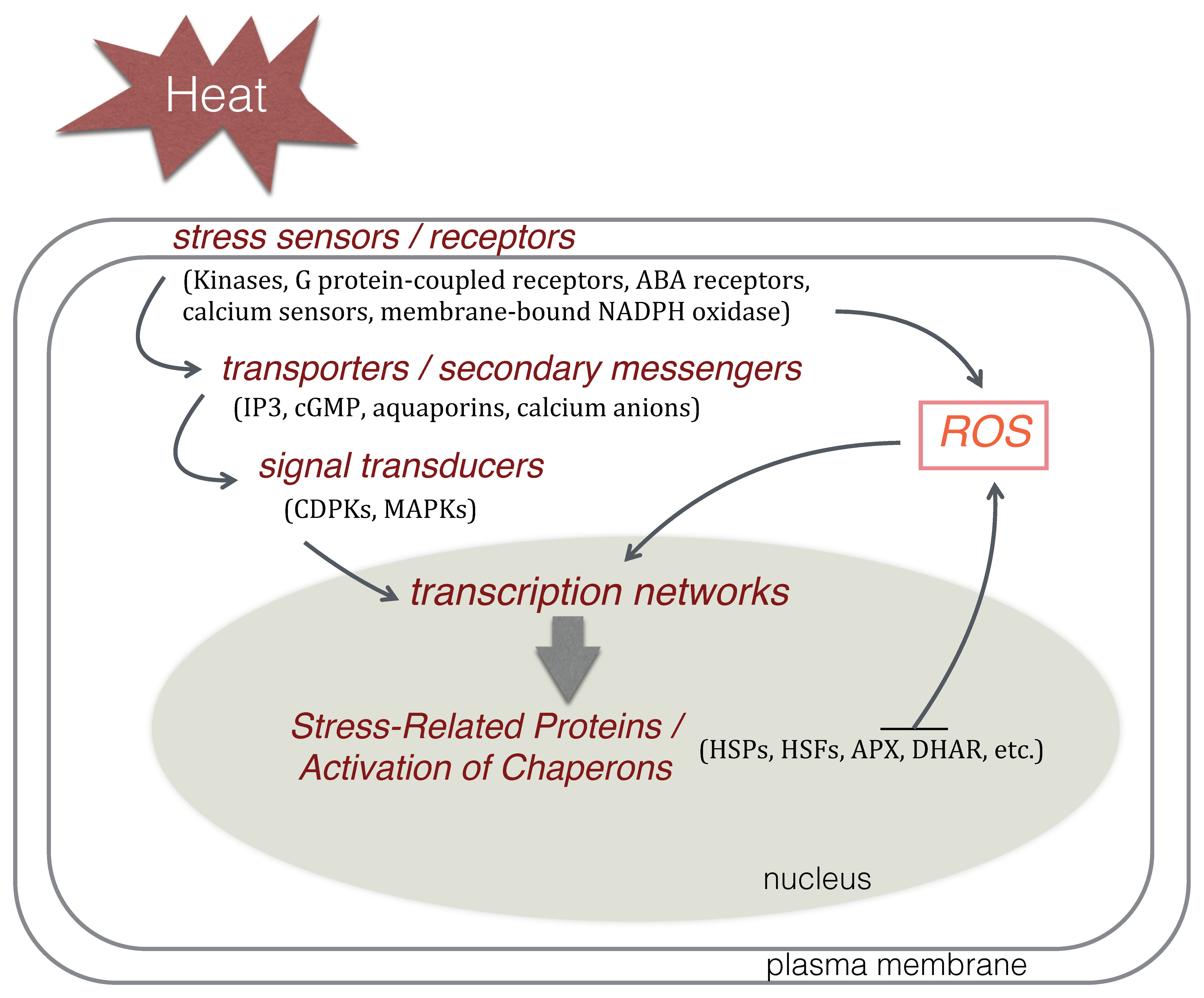 Plants 09 01754 g005