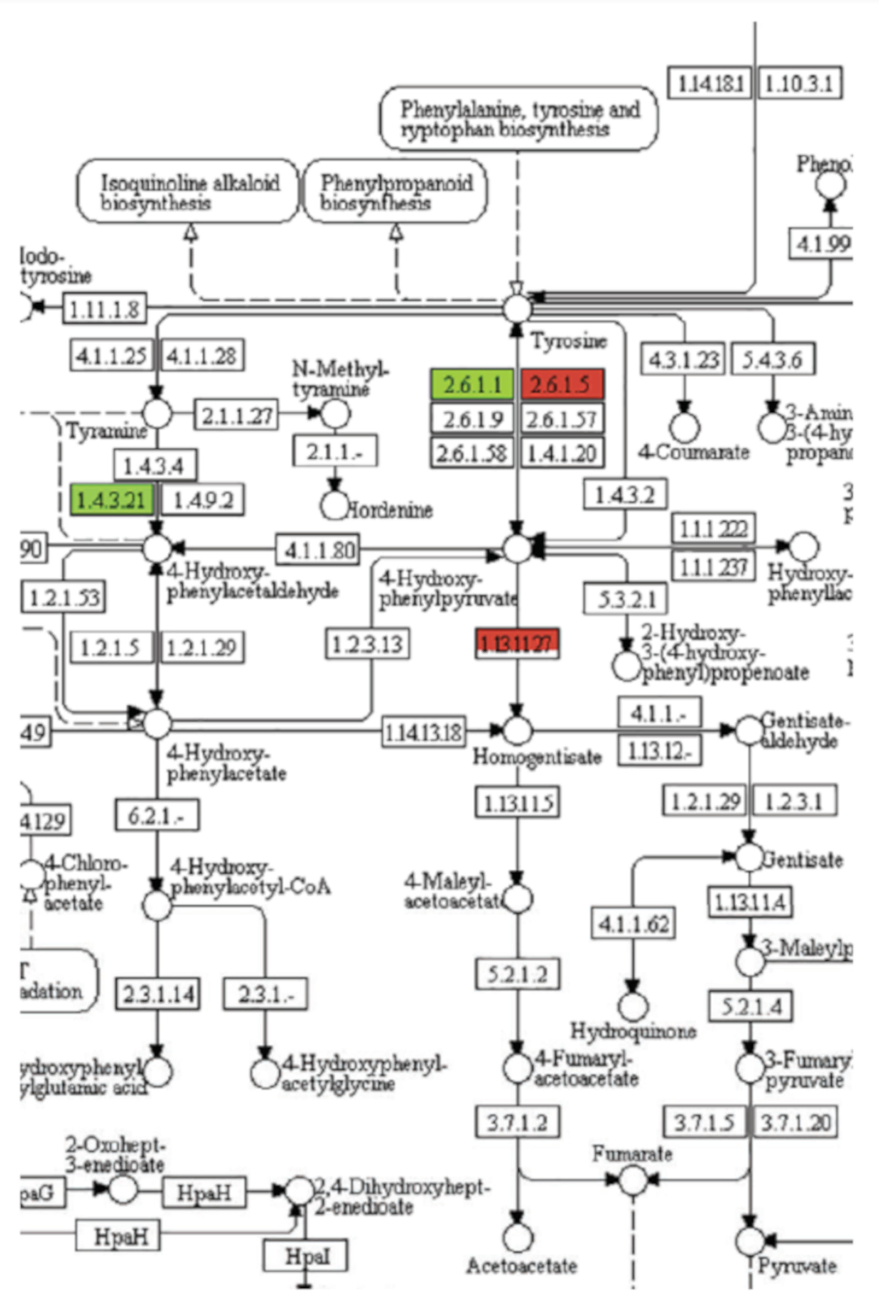 Plants 09 01756 g005