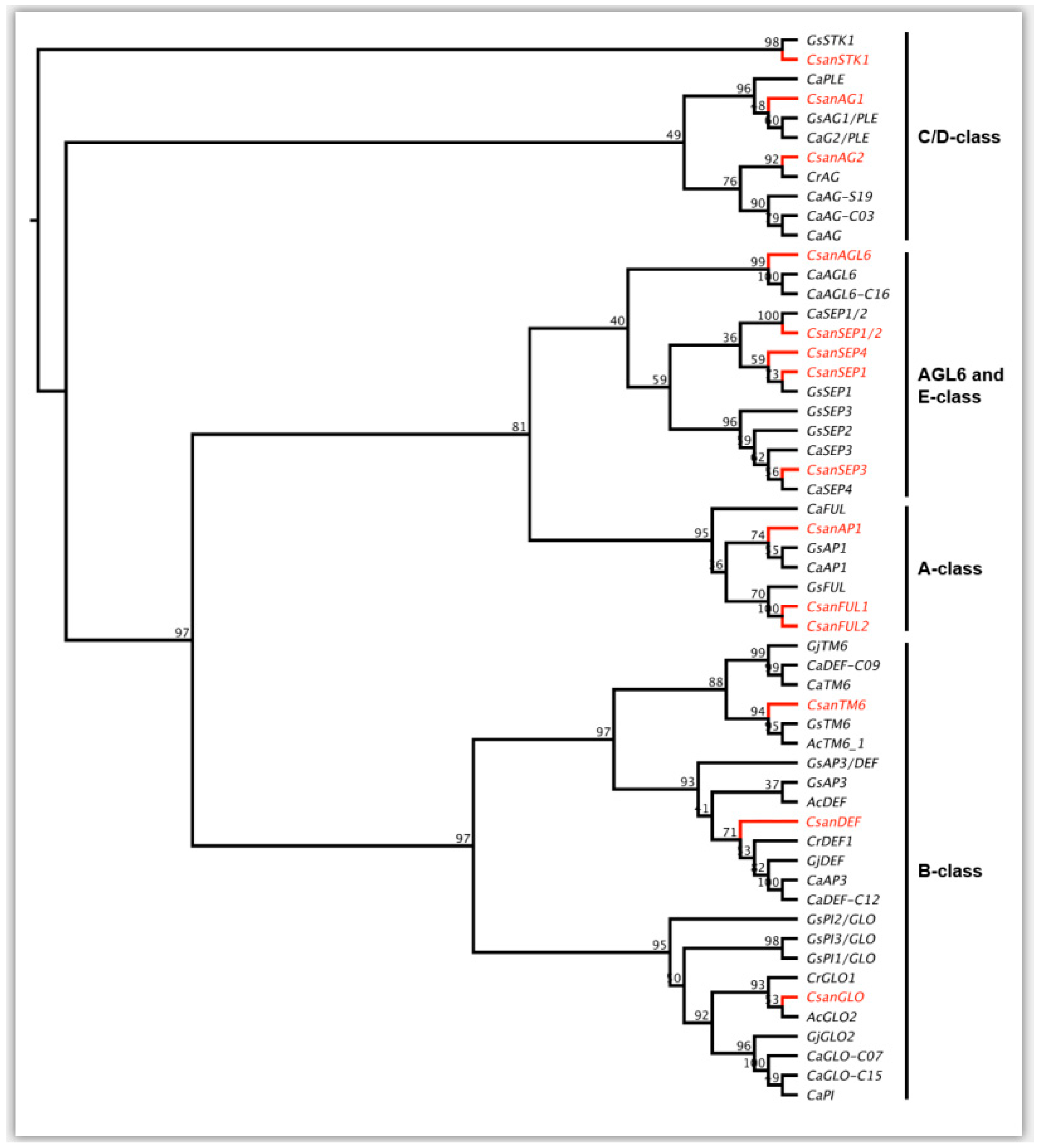 Plants 09 01767 g005 Plants 09 01767 g005