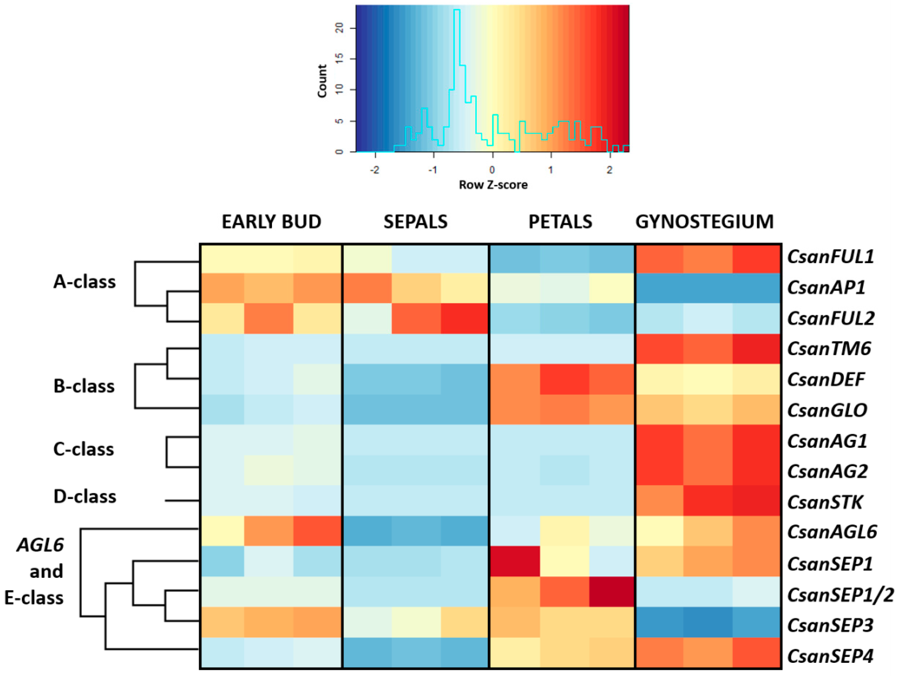 Plants 09 01767 g006 Plants 09 01767 g006