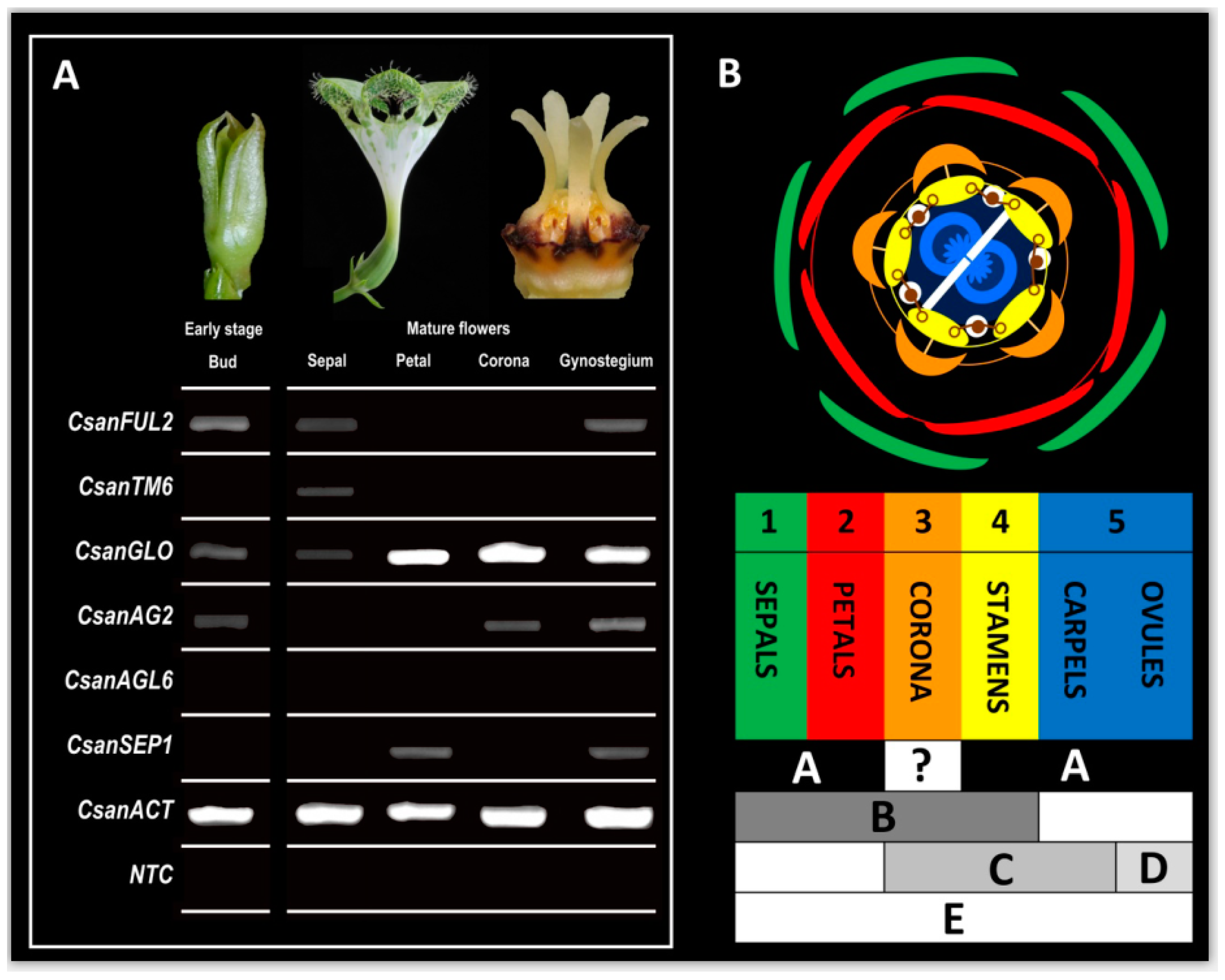 Plants 09 01767 g007 Plants 09 01767 g007