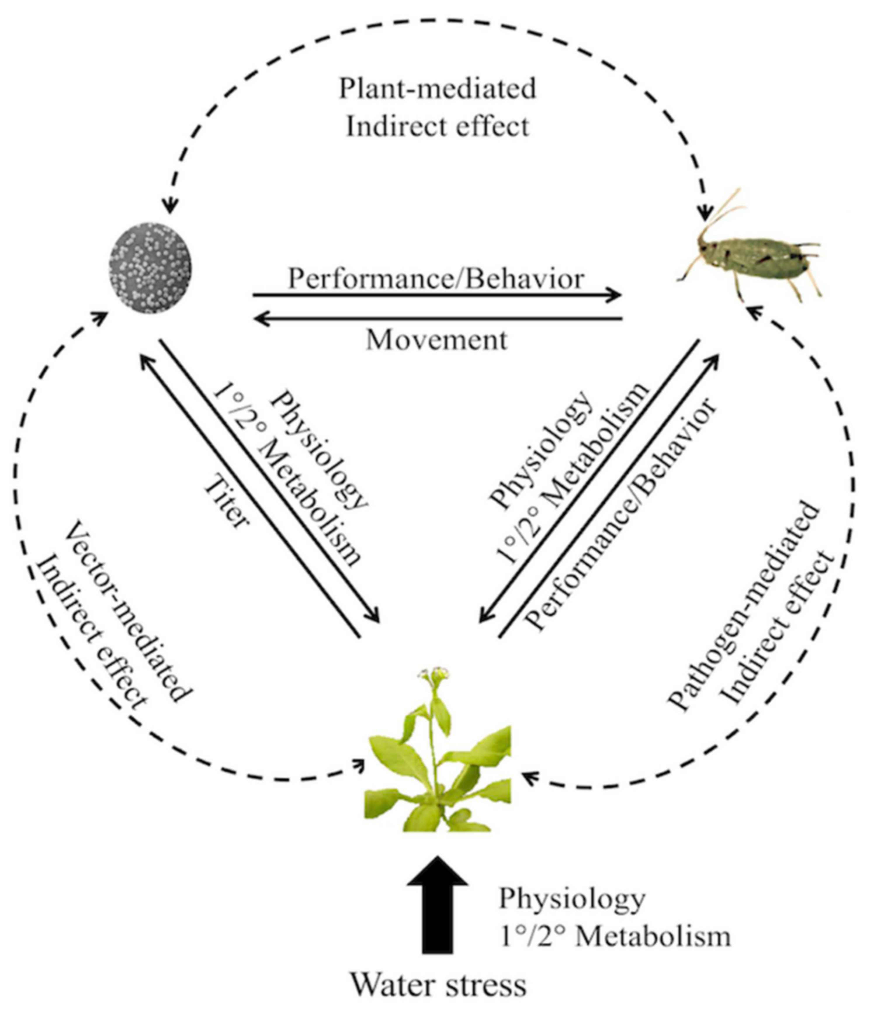 Plants 09 01768 g004
