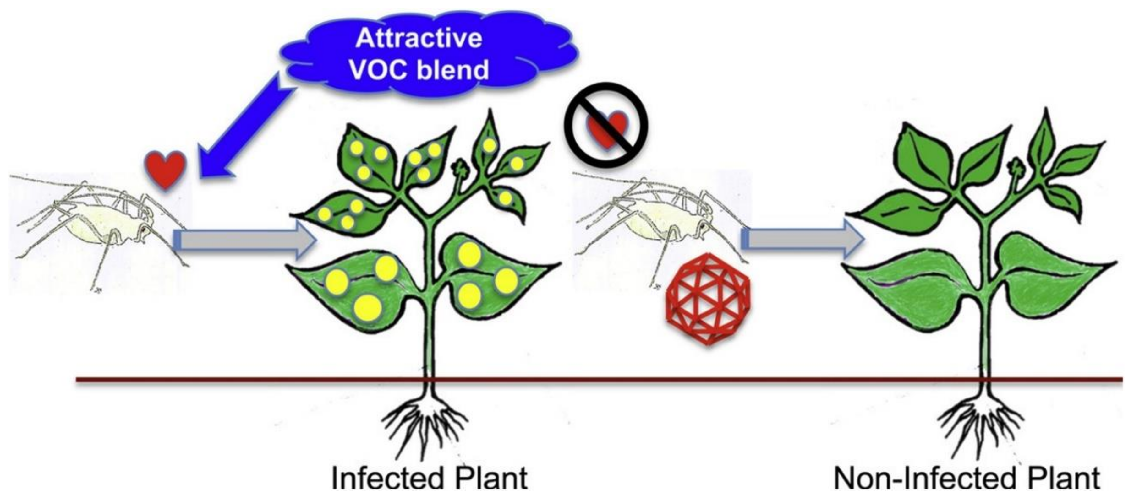 Plants 09 01768 g007