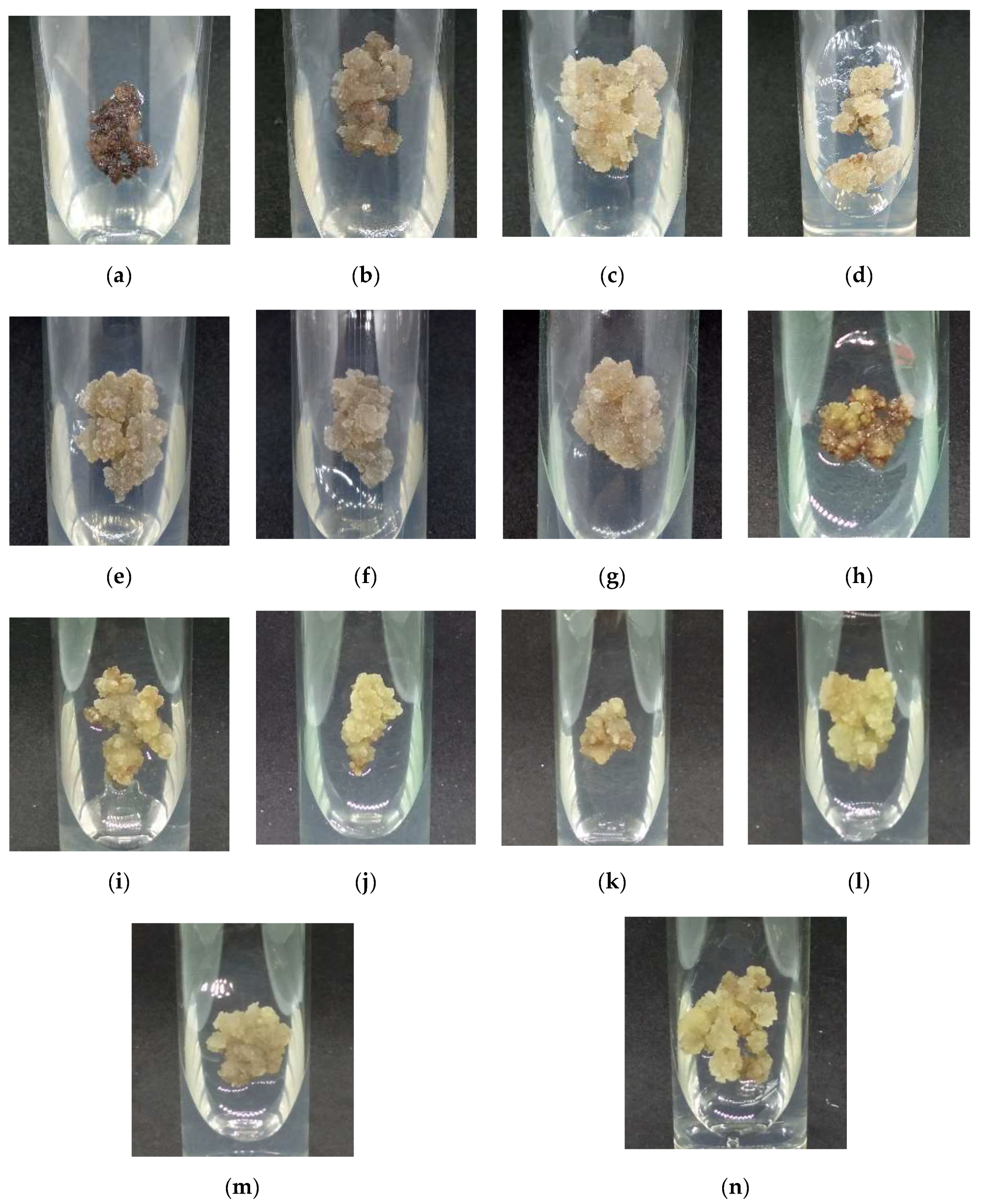 Plants 09 01772 g003