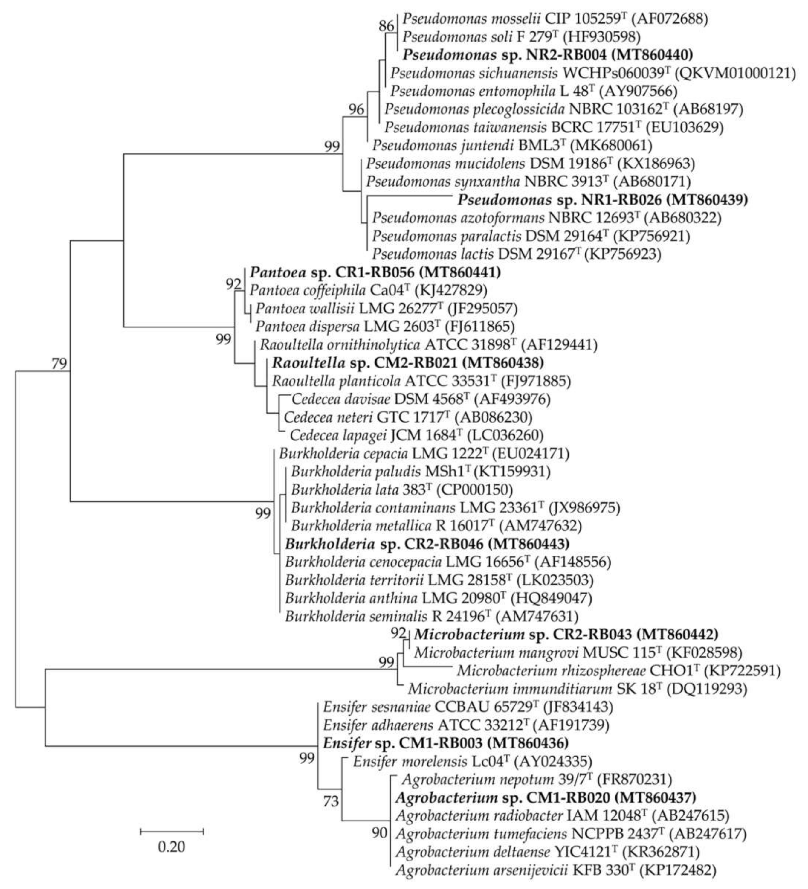 Plants 09 01773 g005 Plants 09 01773 g005