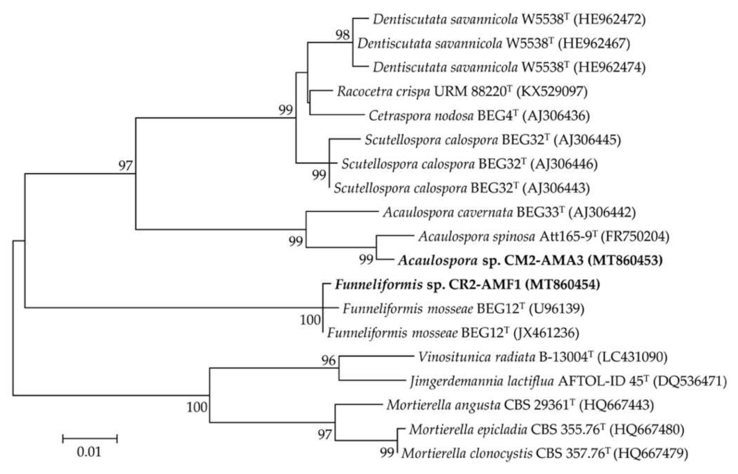 Plants 09 01773 g009 Plants 09 01773 g009