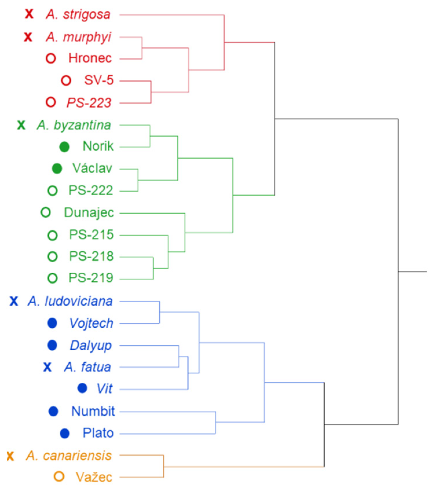 Plants 09 01776 g001 Plants 09 01776 g001