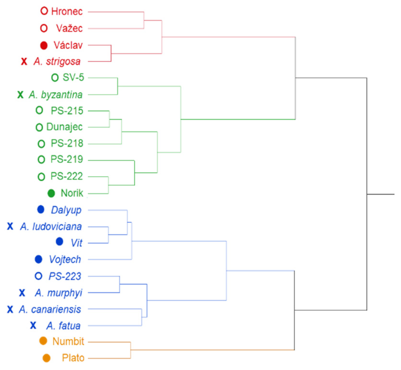 Plants 09 01776 g002 Plants 09 01776 g002