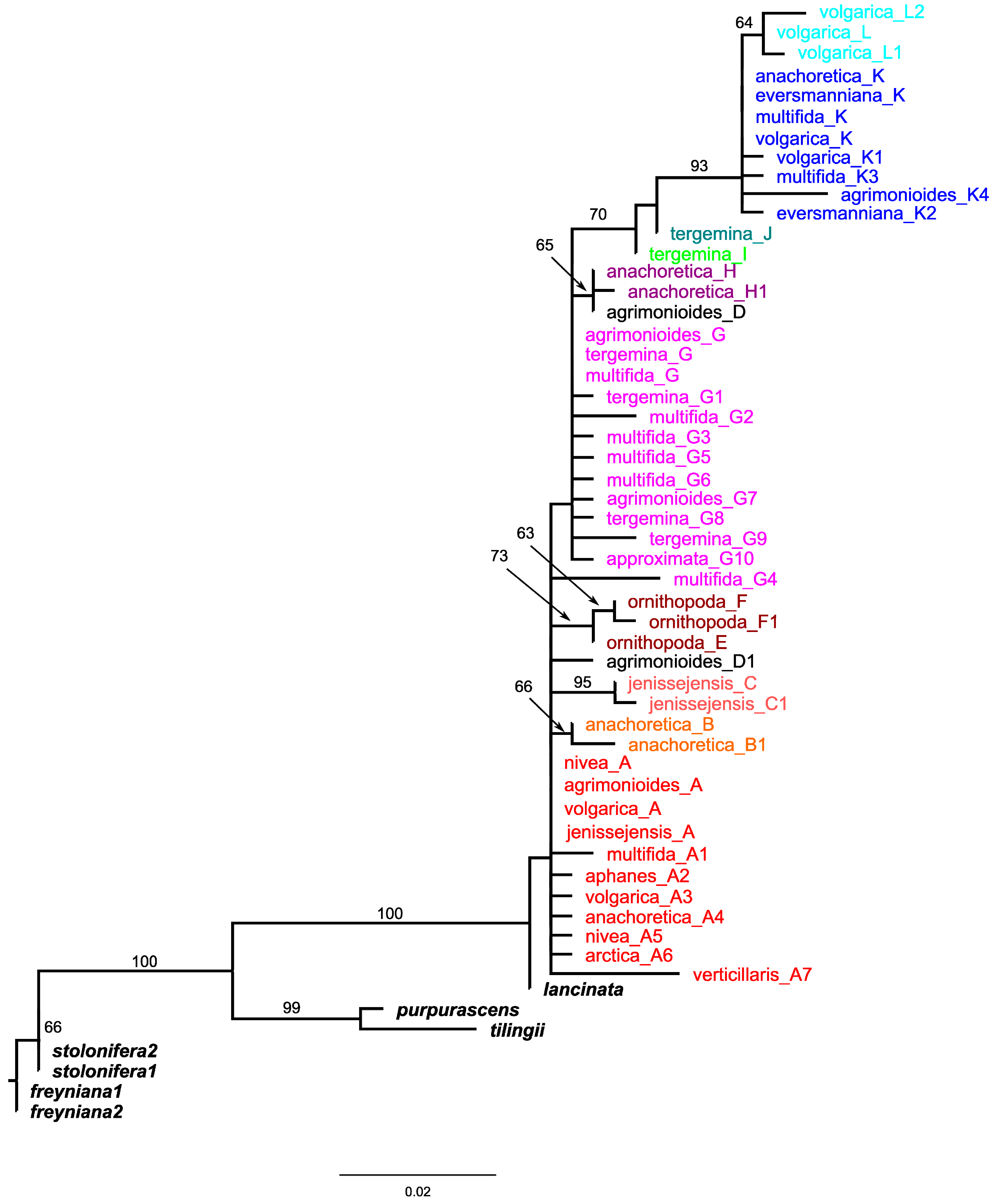 Plants 09 01798 g001 Plants 09 01798 g001